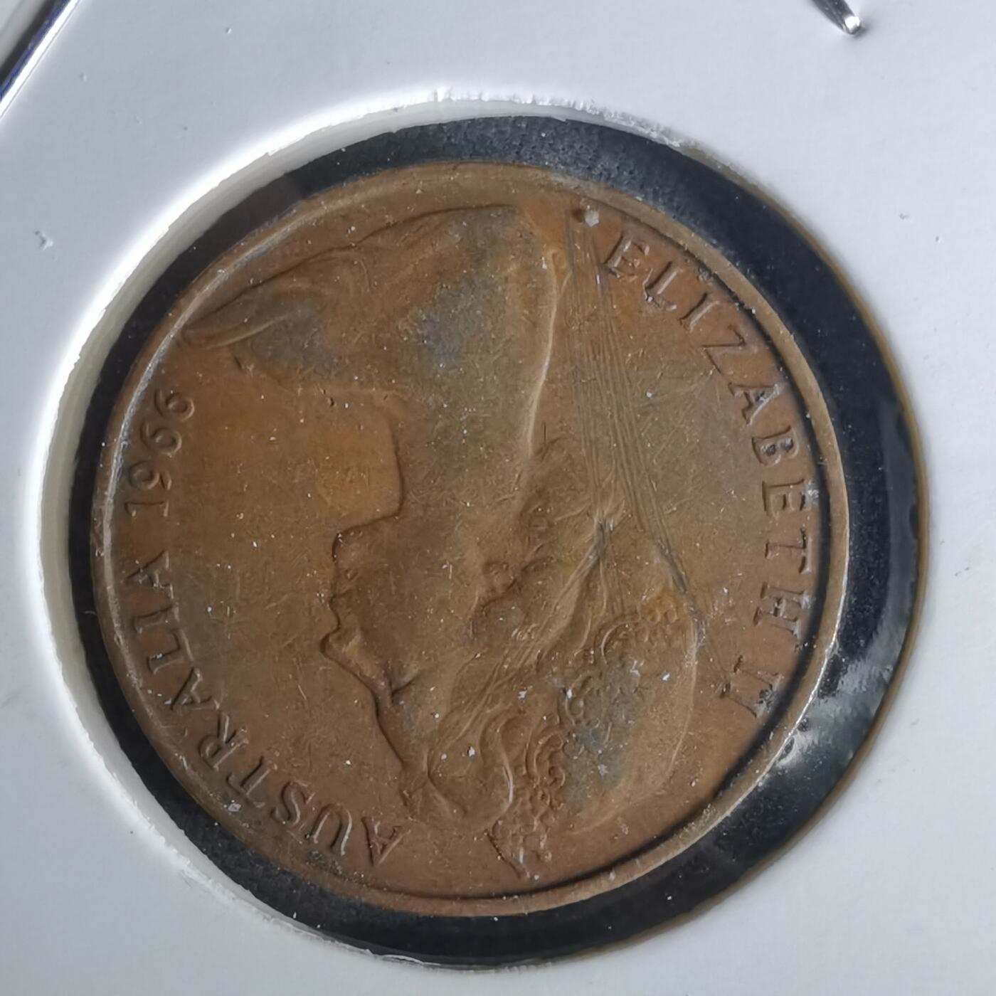 沼泽如烟--第1028场