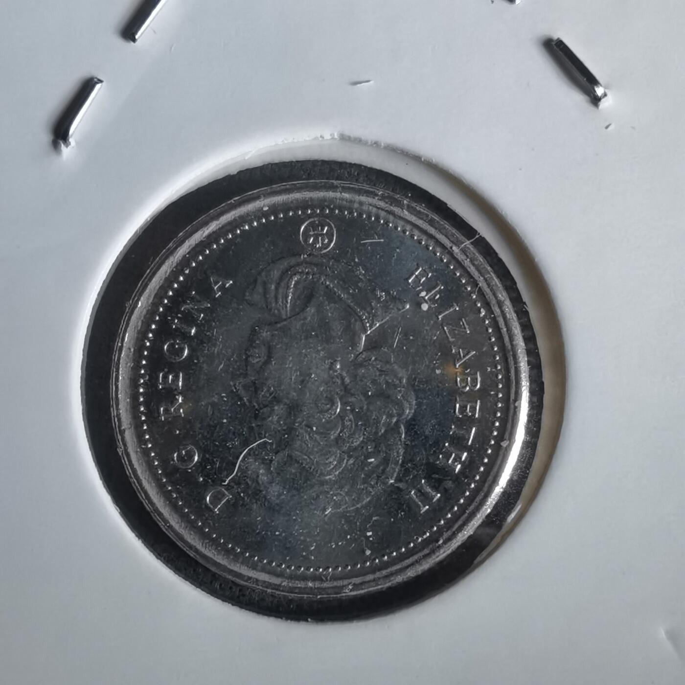 沼泽如烟--第1028场