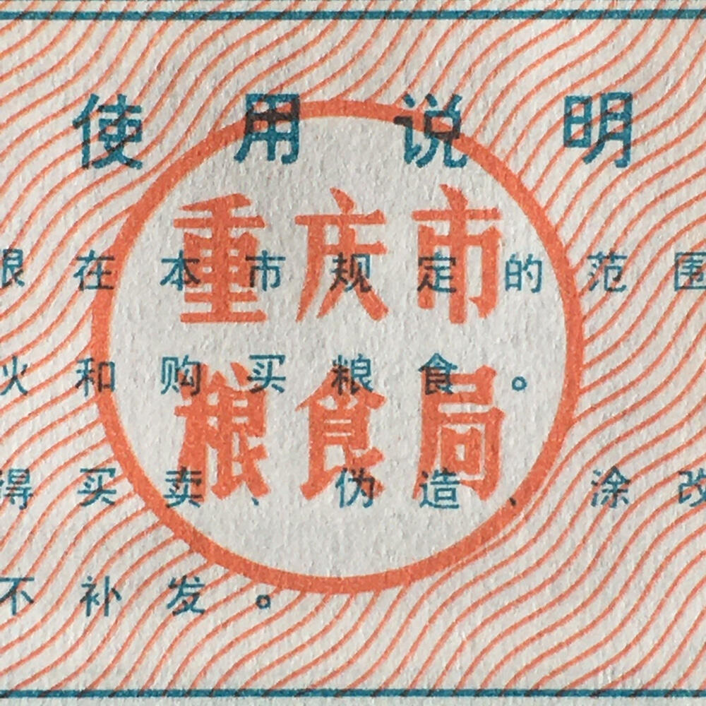          稀少1988年重庆市粮食供应券面粉伍百克经典人物全新品相未流通1枚原版真品如图供应票证旧藏文玩艺术收藏