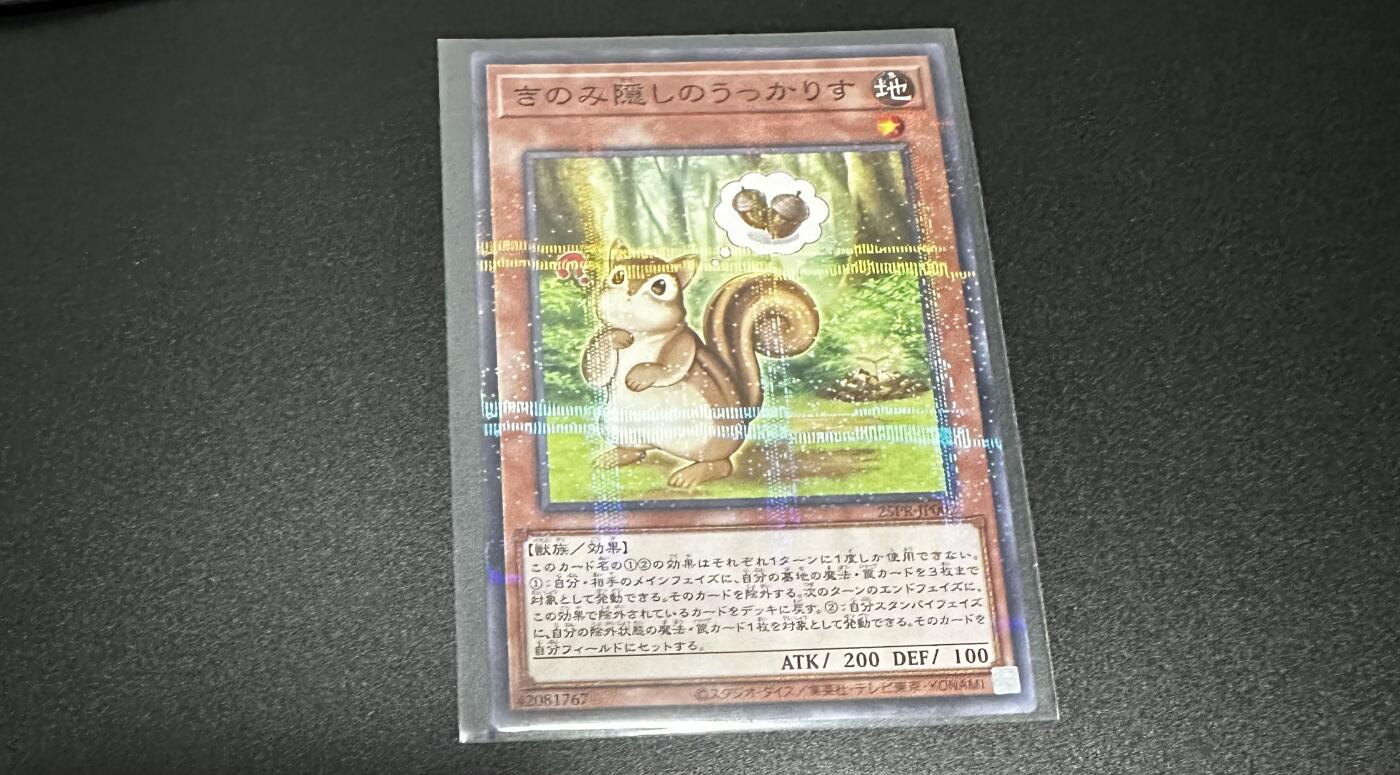 游戏王 影之诗 VG卡牌等 专场卡牌（无佣） 游戏王  藏树果的迷糊栗鼠 NPR