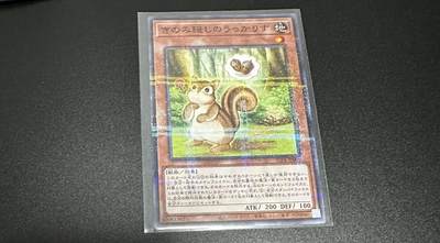 游戏王 影之诗 VG卡牌等 专场卡牌（无佣） - 游戏王  藏树果的迷糊栗鼠 NPR