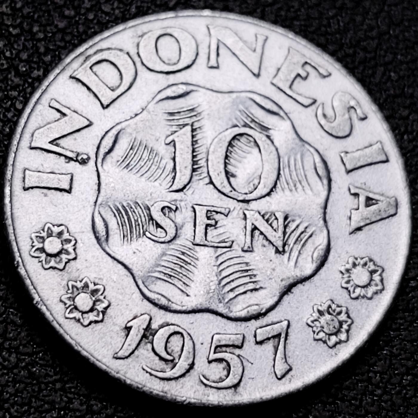 泉币菌-第213场-拍品多 请提前出价（工作最近较忙 发货不及时，望理解） 。