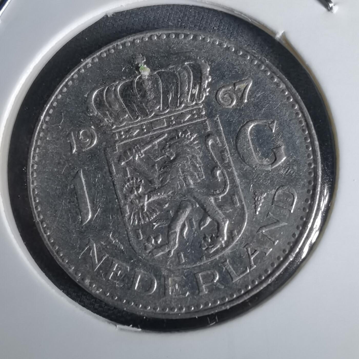 沼泽如烟--第1028场