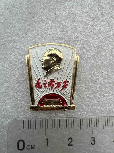 真品像章，纪念章 - 真品像章、纪念章