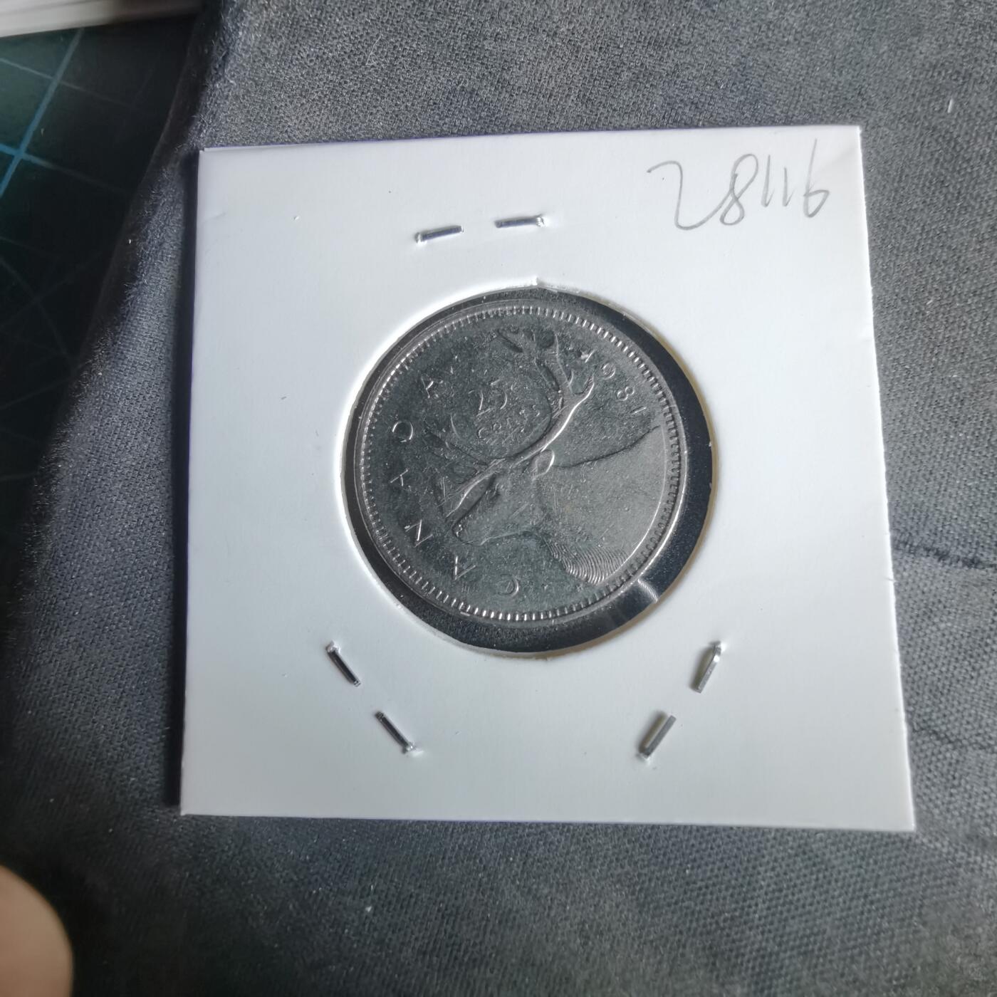 沼泽如烟--第1028场