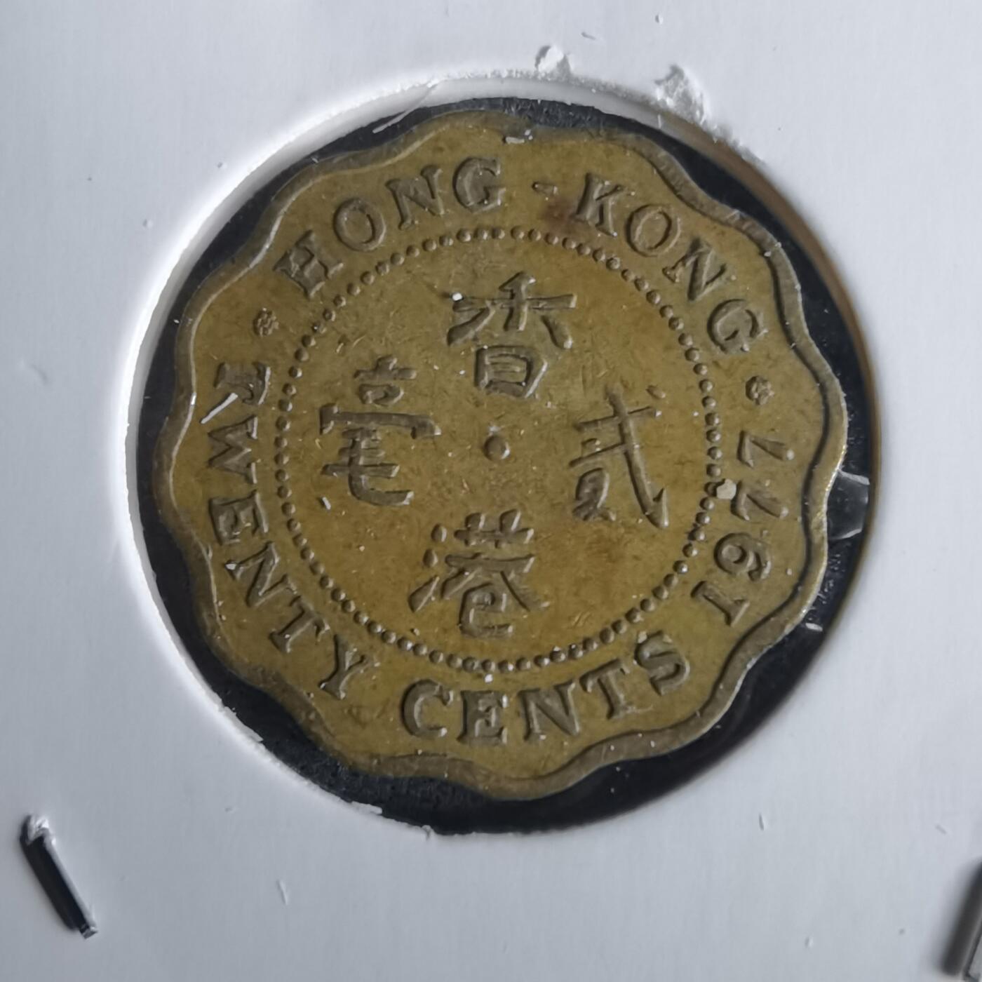 沼泽如烟--第1028场