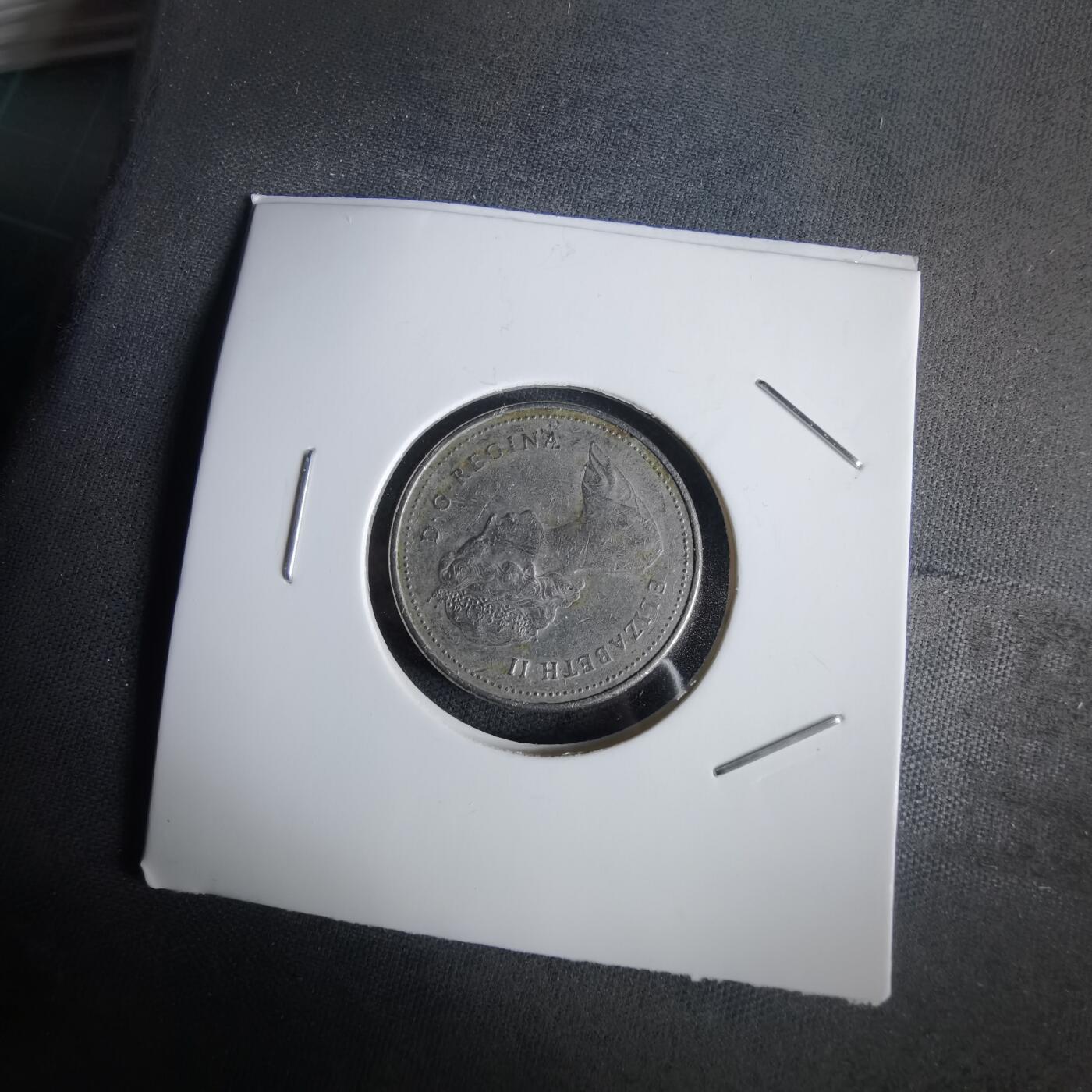 沼泽如烟--第1028场