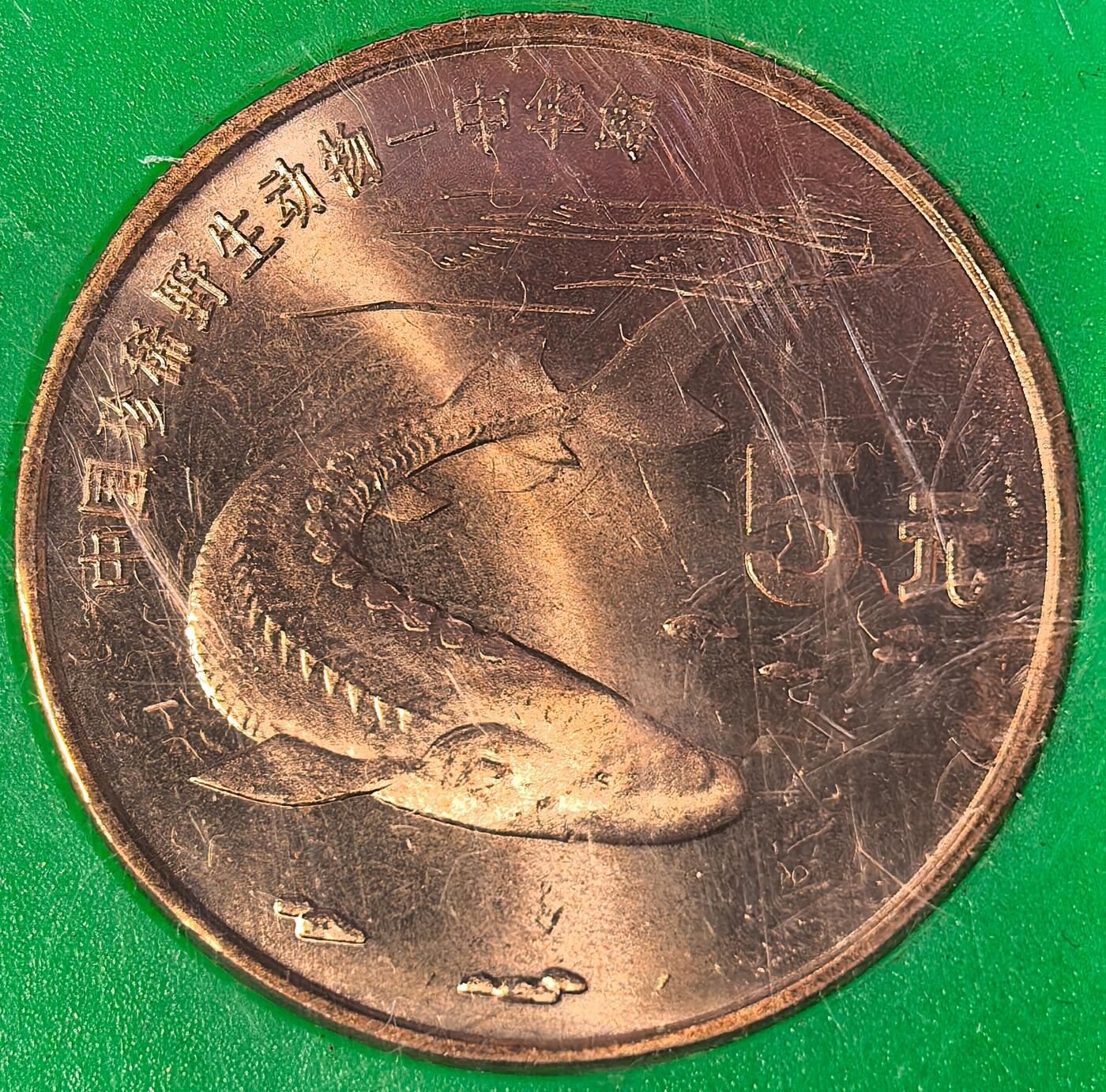 1999年中国珍惜野生动物中华鲟纪念币，中国人民银行发行，原装绿盒，品相好，按图发货！