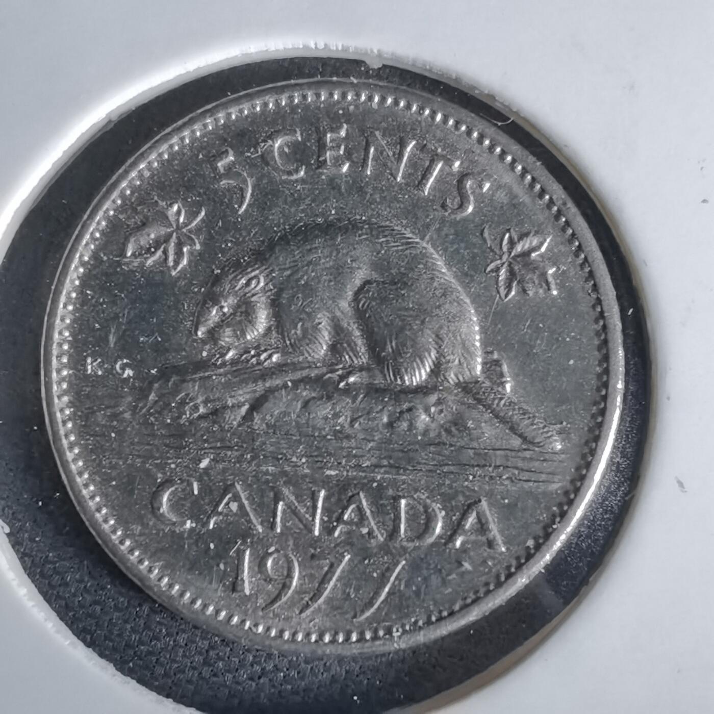 沼泽如烟--第1028场