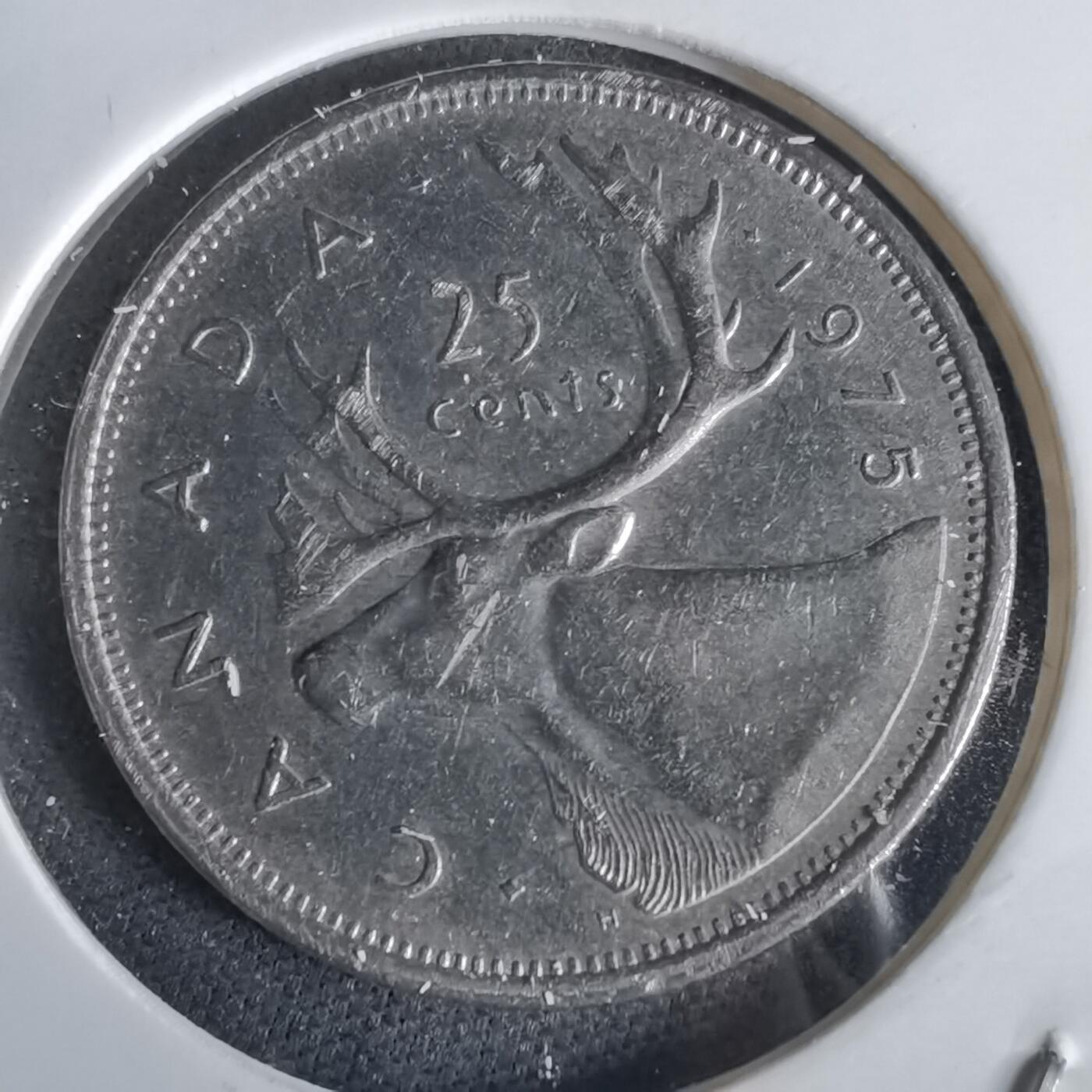 沼泽如烟--第1028场