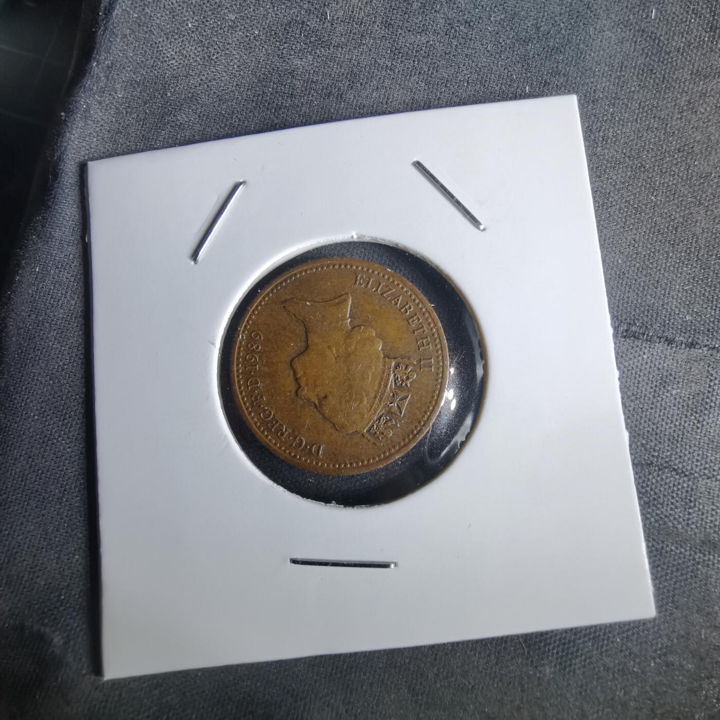 沼泽如烟--第1028场