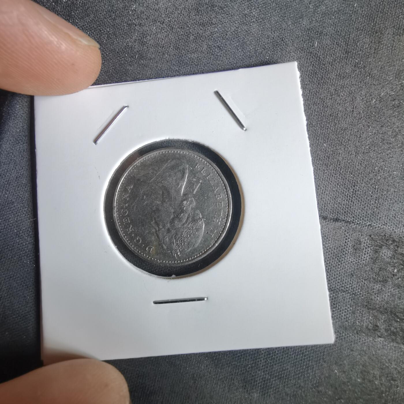 沼泽如烟--第1028场