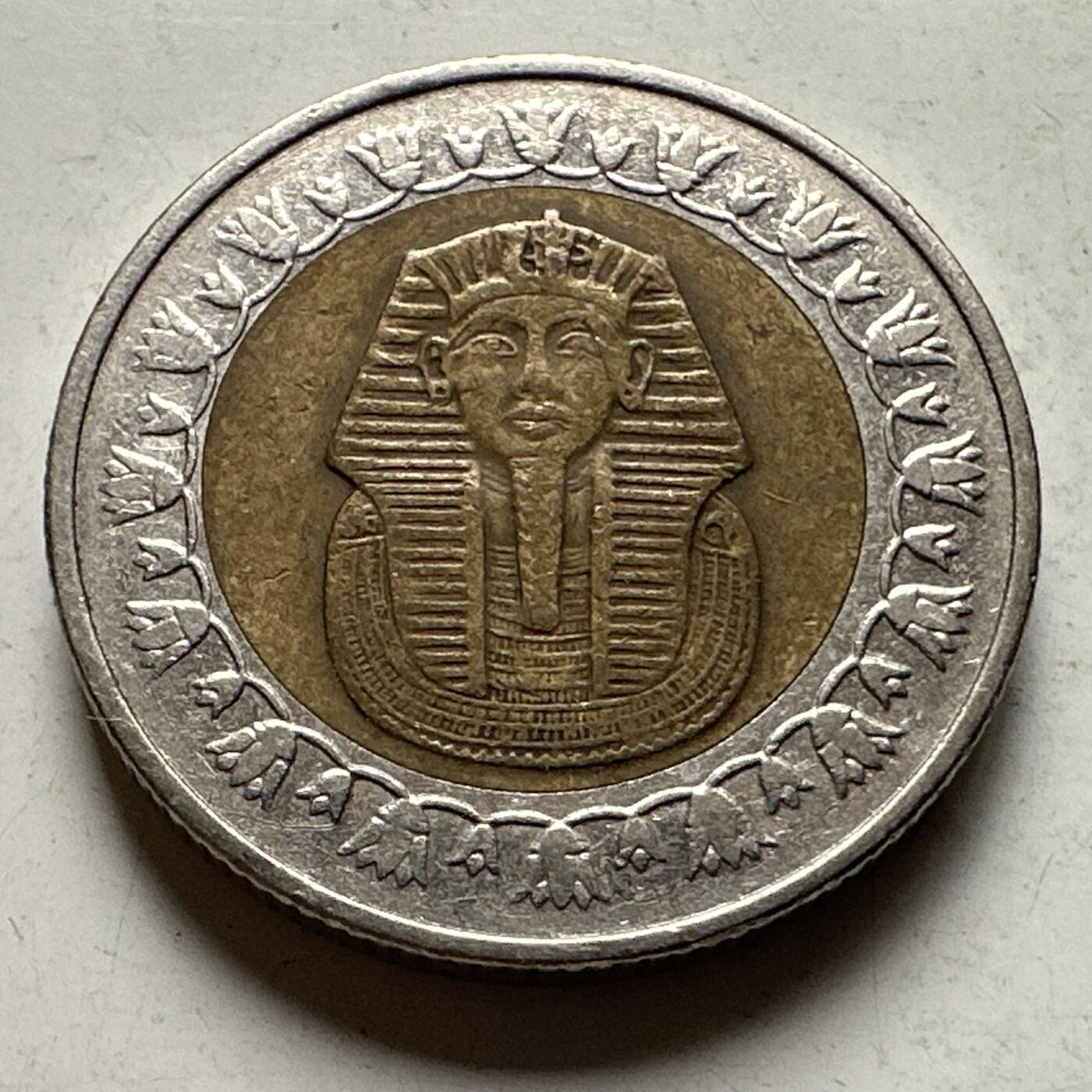 🌹外币初藏🌹🐯2026年第30场   每周二四六晚8️⃣点 接代拍 埃及2008年一镑