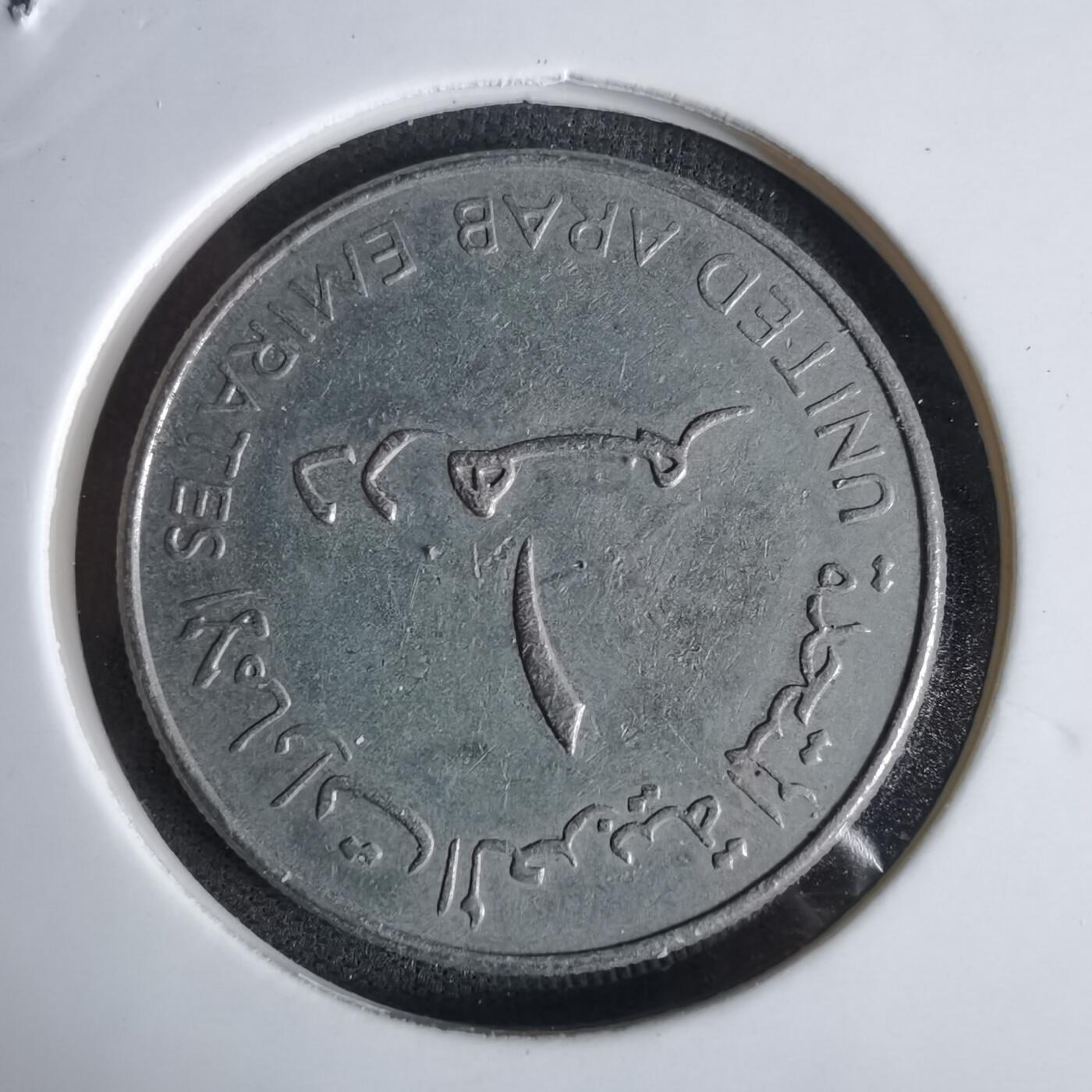 沼泽如烟--第1027场