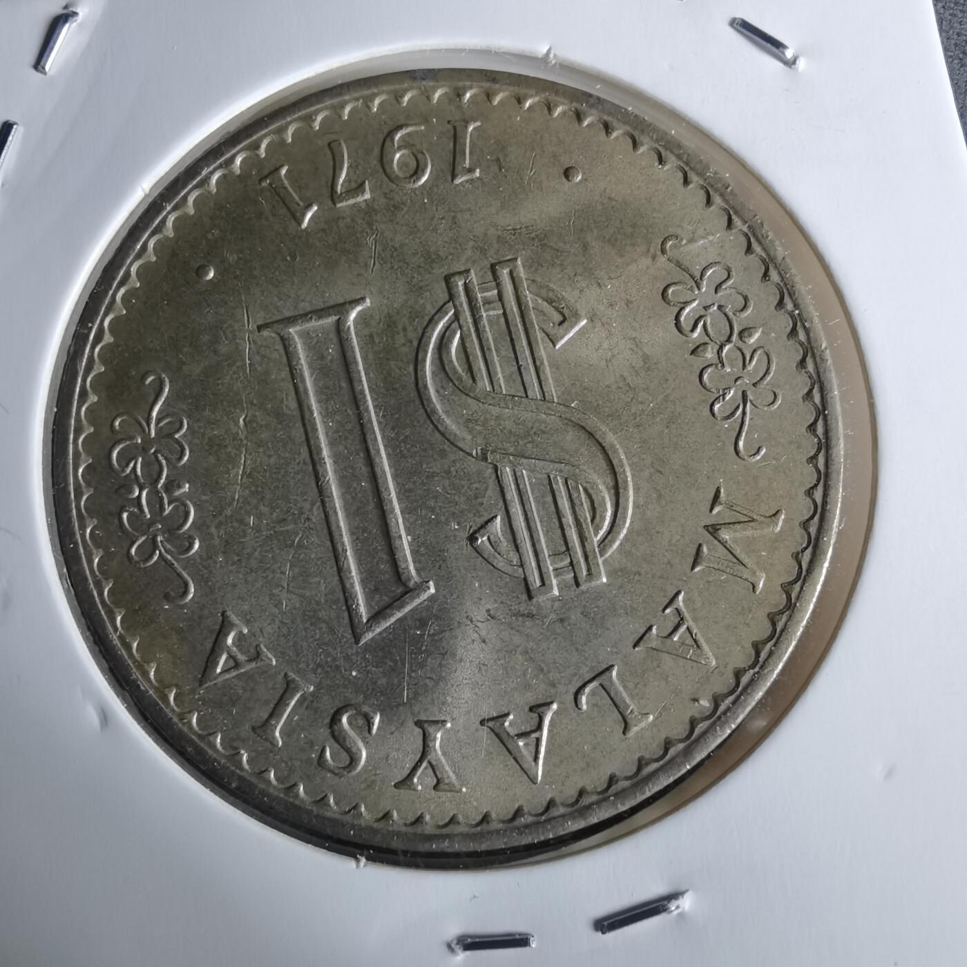 沼泽如烟--第1027场