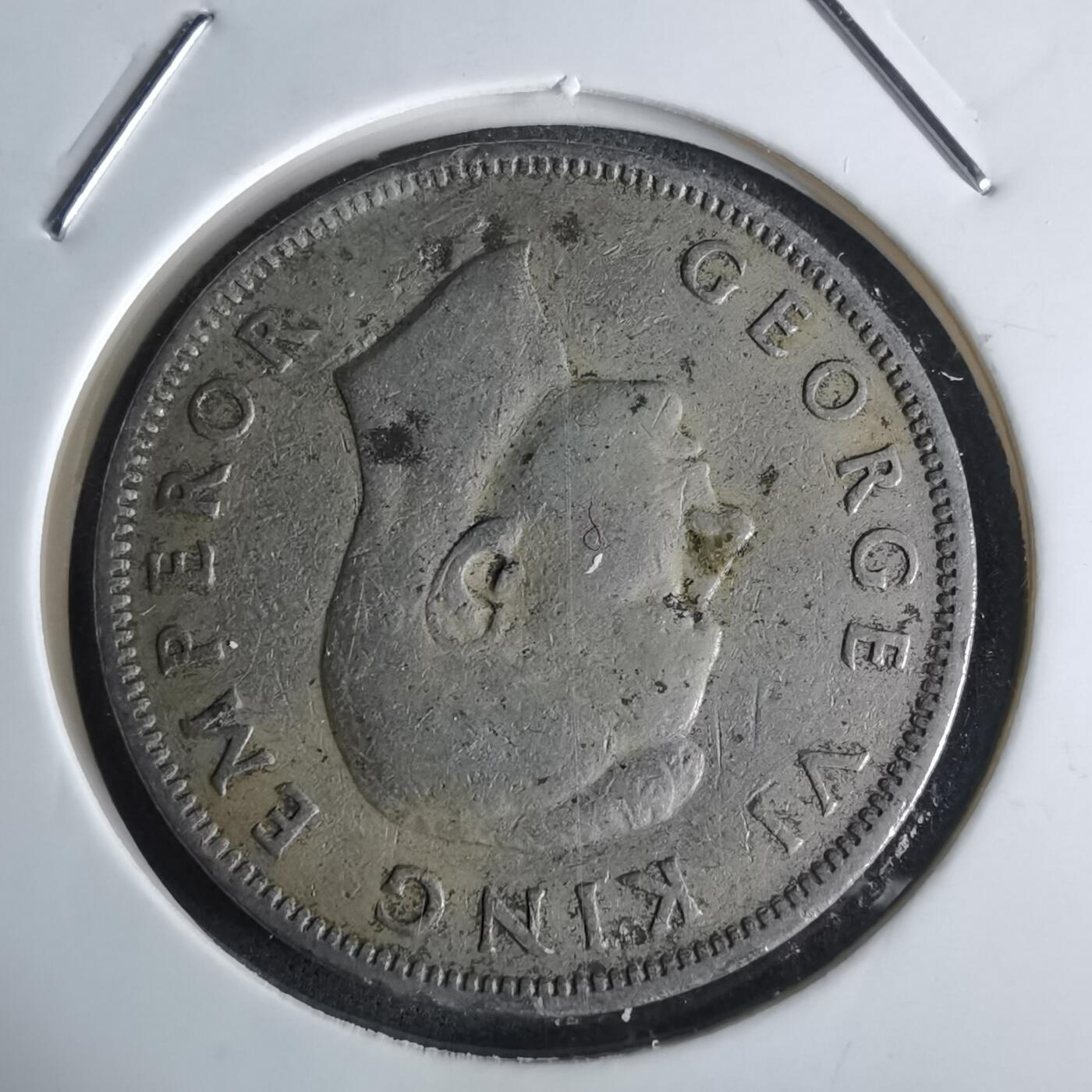 沼泽如烟--第1027场