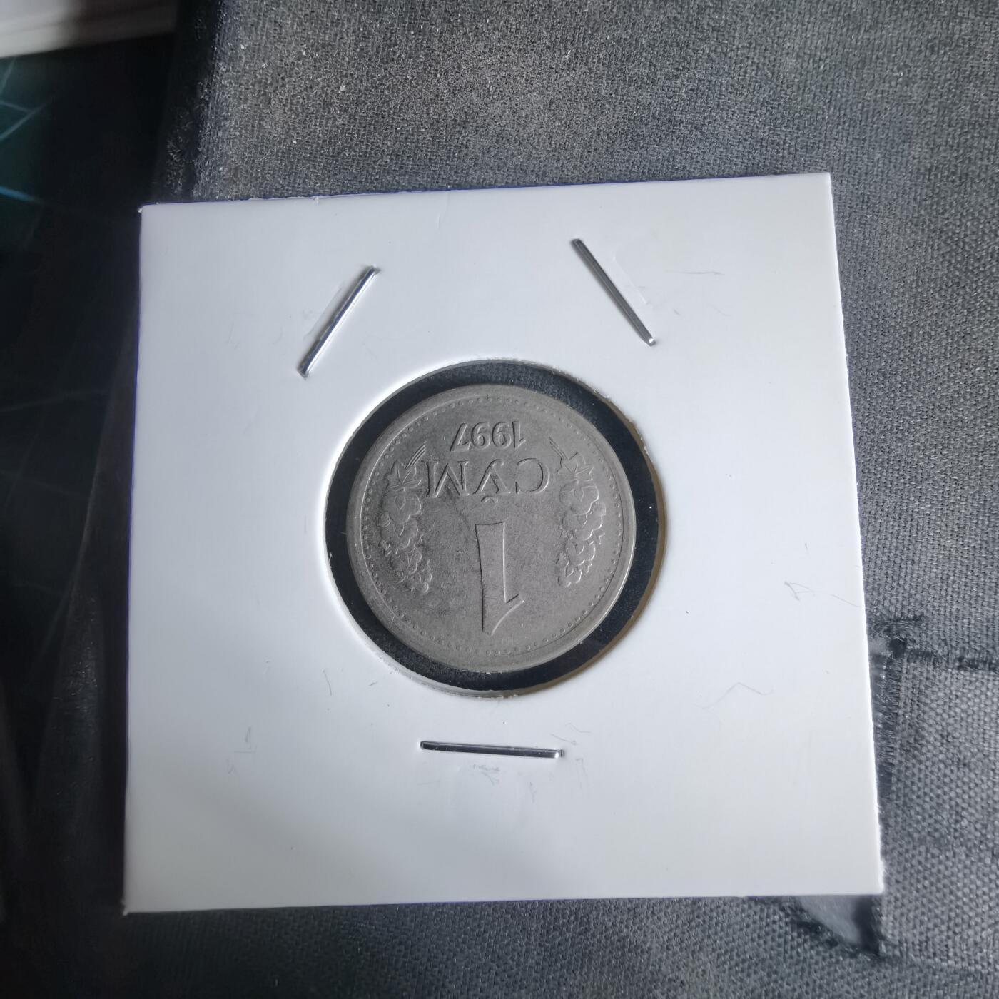 沼泽如烟--第1027场