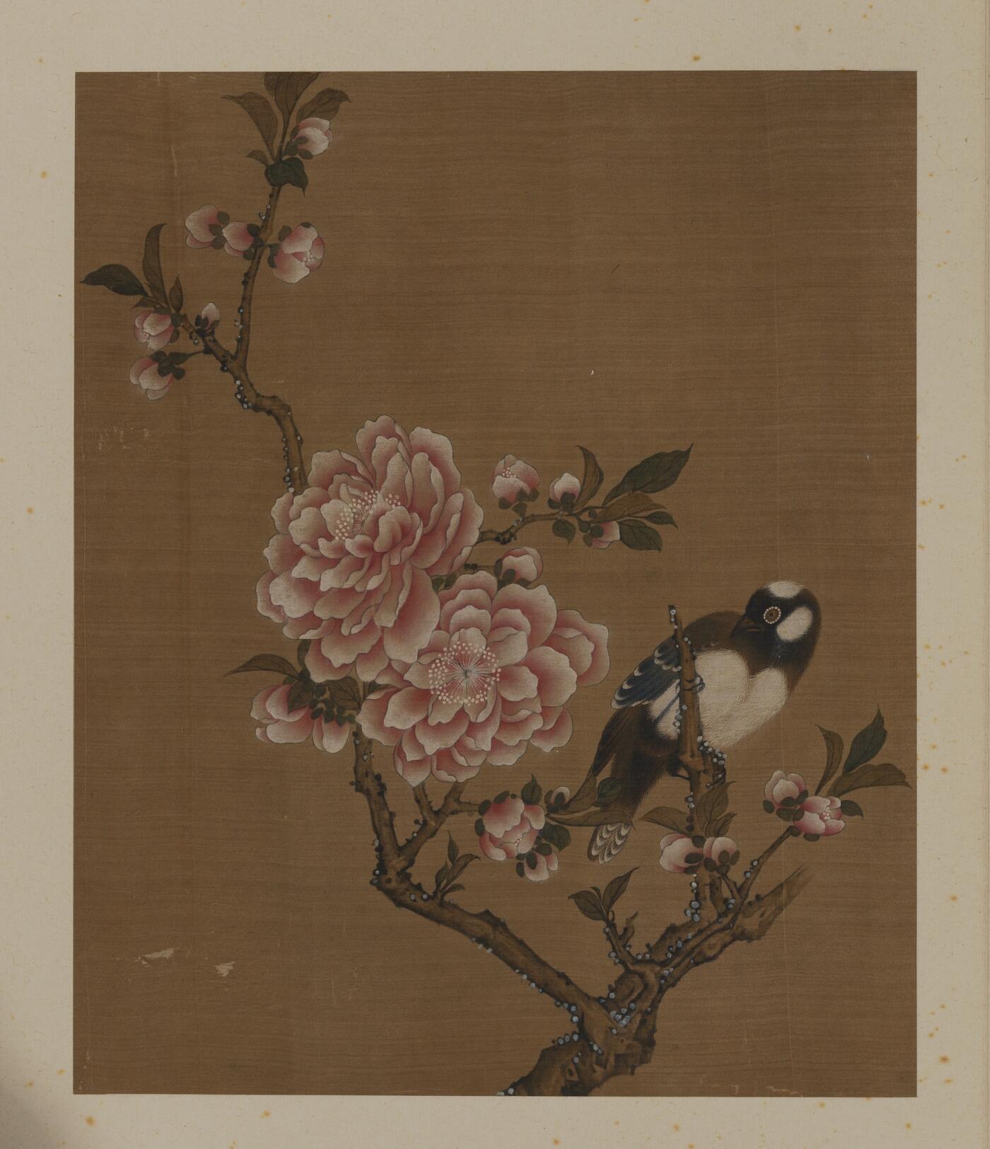 近现代书画专场（五） 佚名 花鸟册