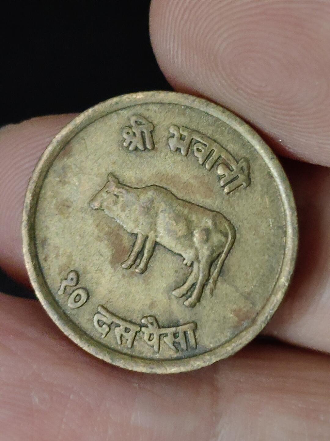 猩哥外币小铺➨【第223场】 尼泊尔