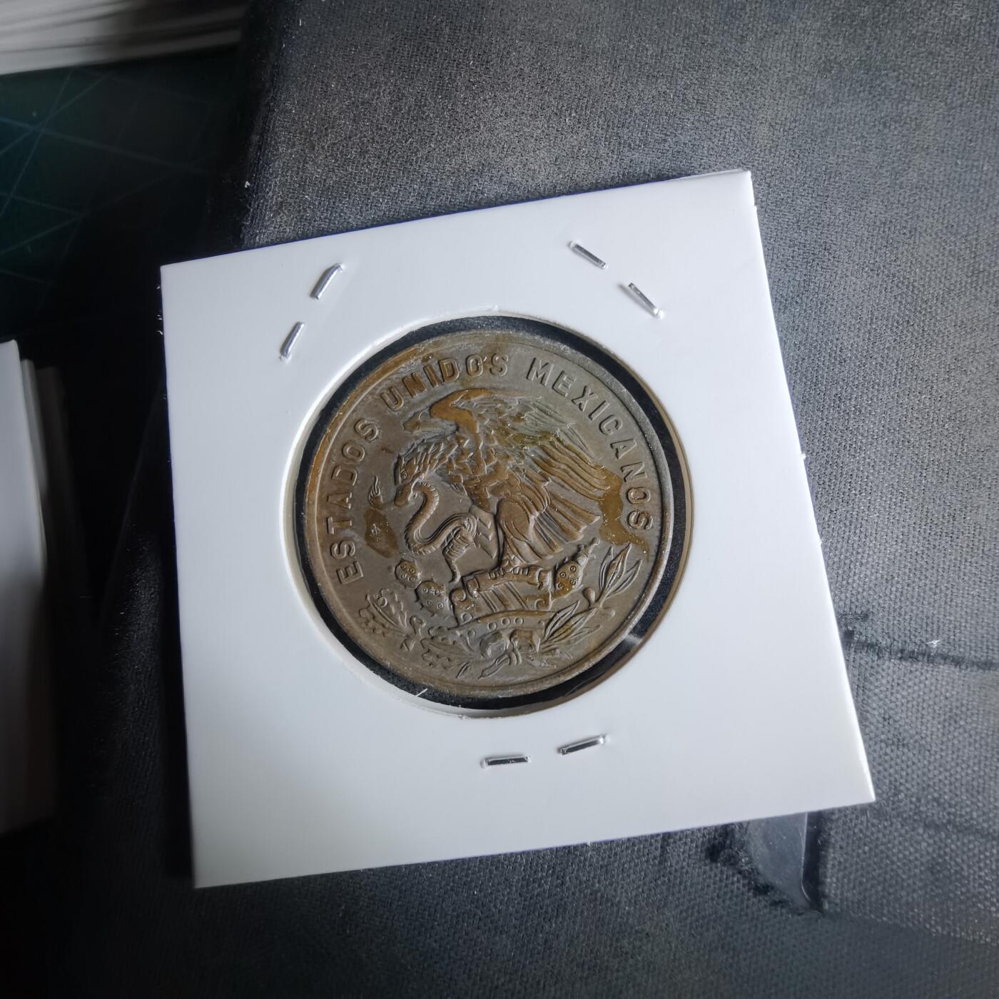 沼泽如烟--第1027场