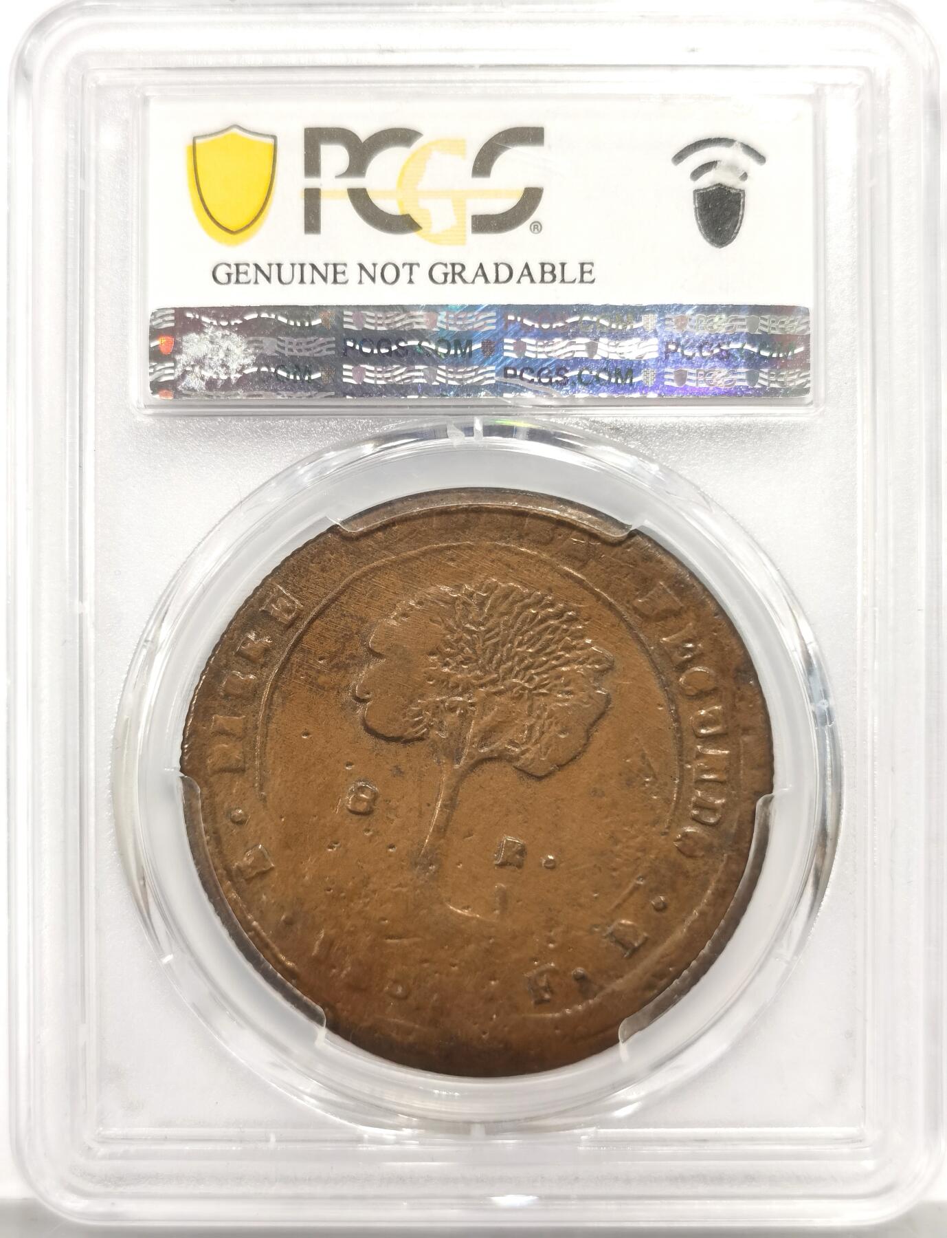 博洋堂世界钱币拍卖第165期（全场包邮） PCGS Fine 洪都拉斯1857年太阳脸小树8里亚尔铜币，罕见品种，名家旧藏