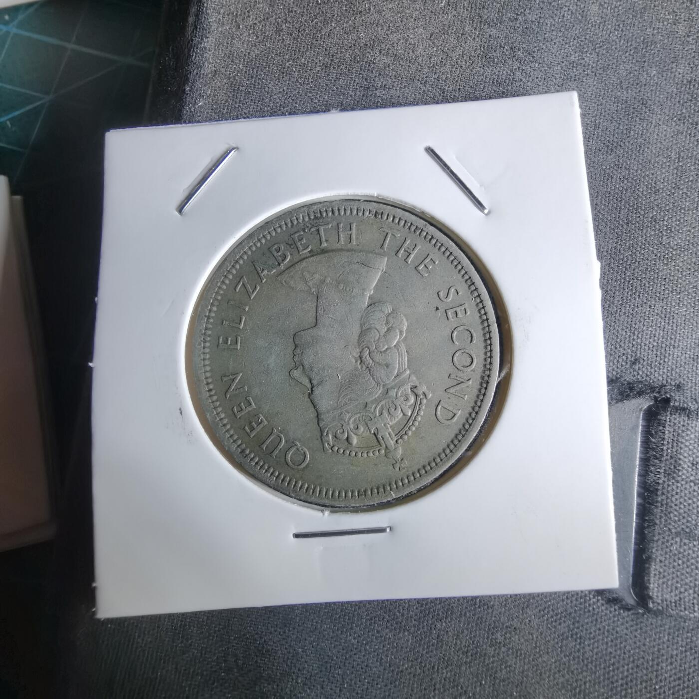 沼泽如烟--第1027场