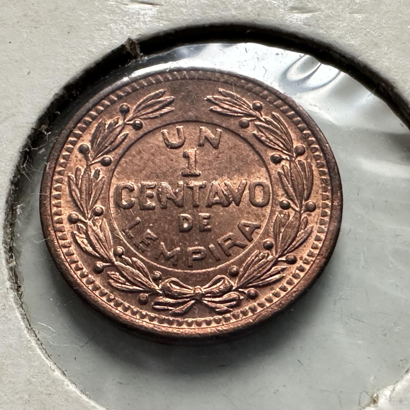 🌹外币初藏🌹🐯2026年第32场   每周二四六晚8️⃣点 接代拍