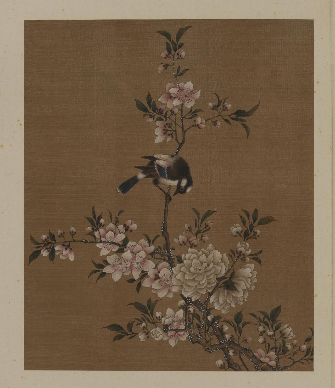 近现代书画专场（五） 佚名 花鸟册