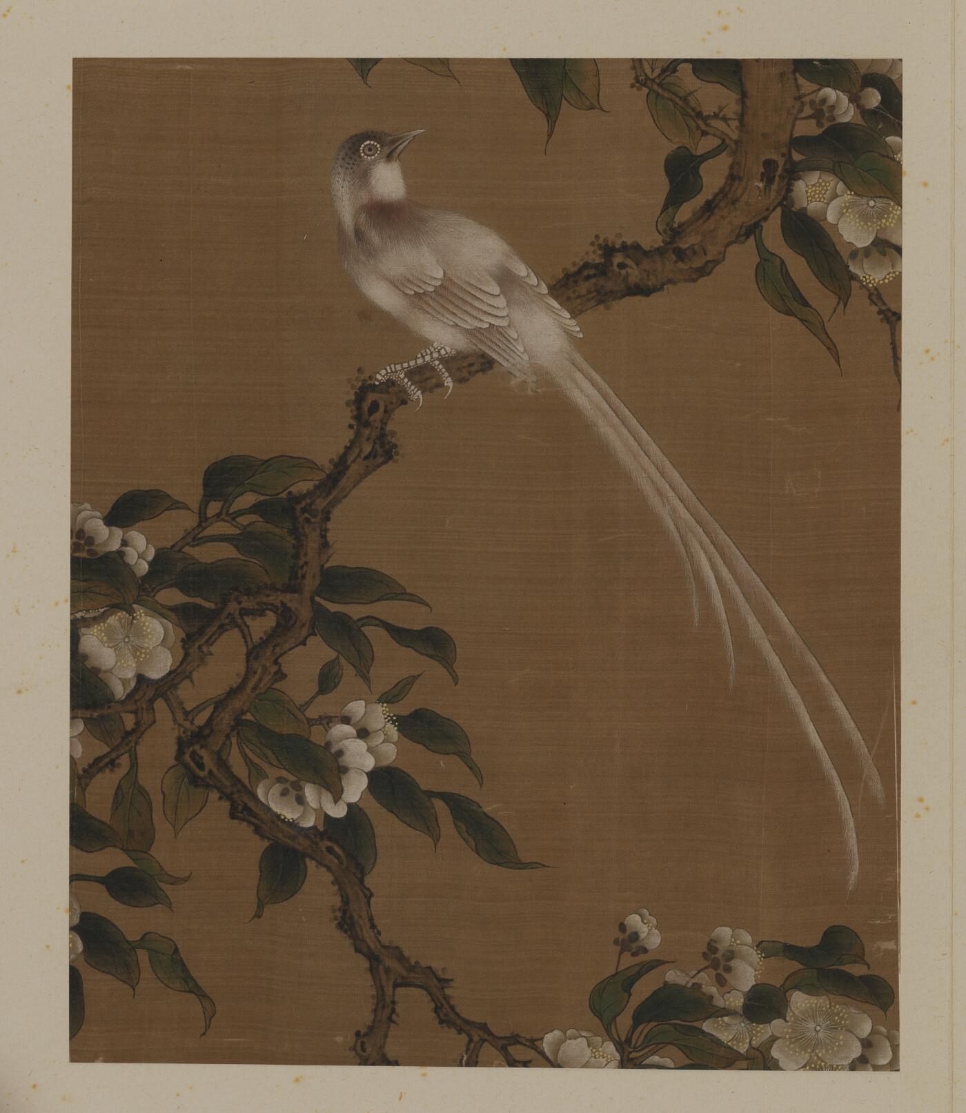 近现代书画专场（五） 佚名 花鸟册