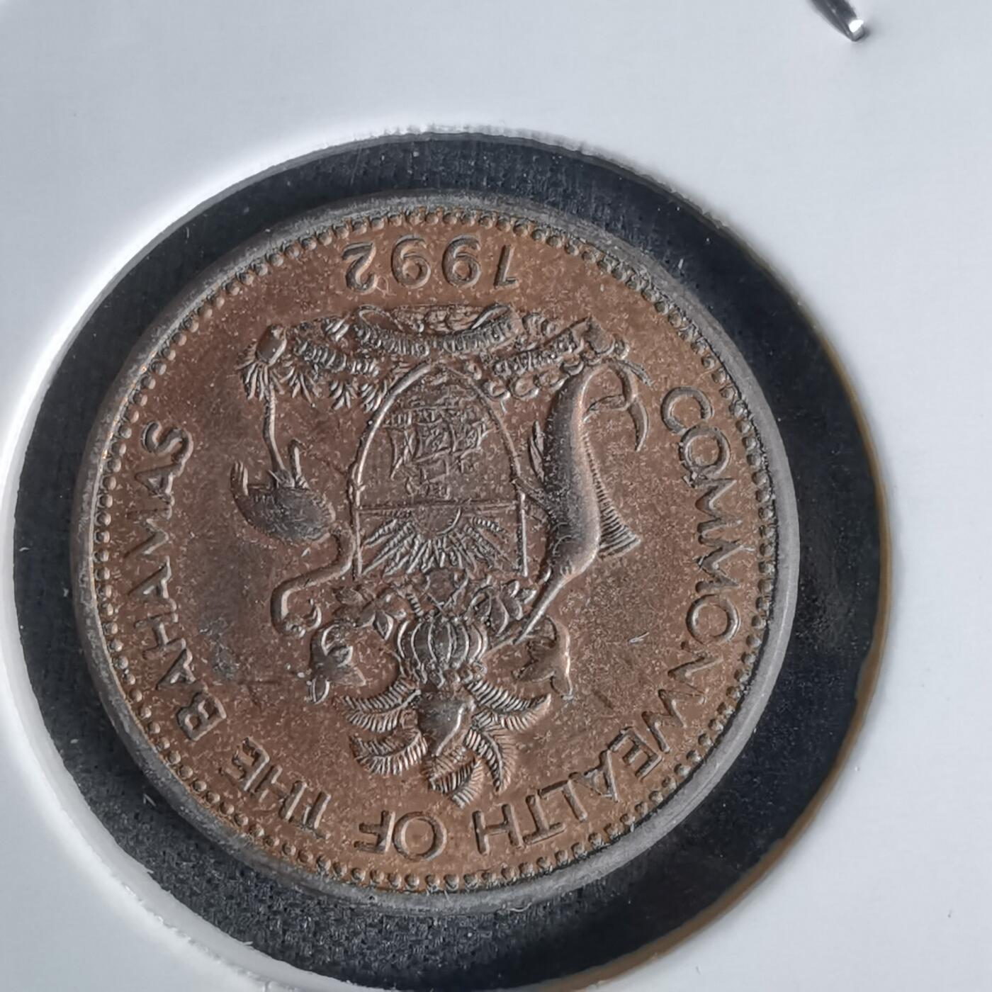 沼泽如烟--第1027场