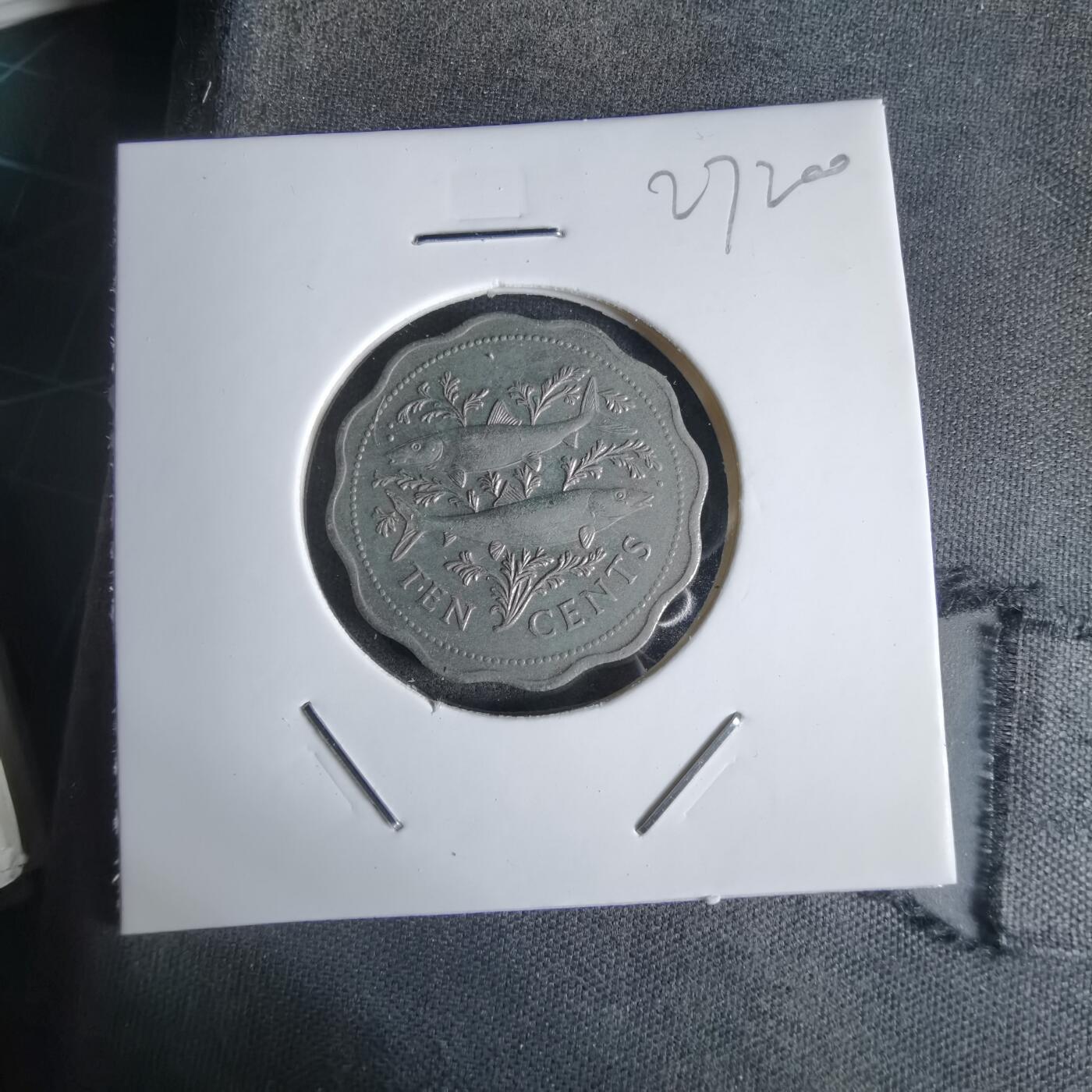 沼泽如烟--第1027场