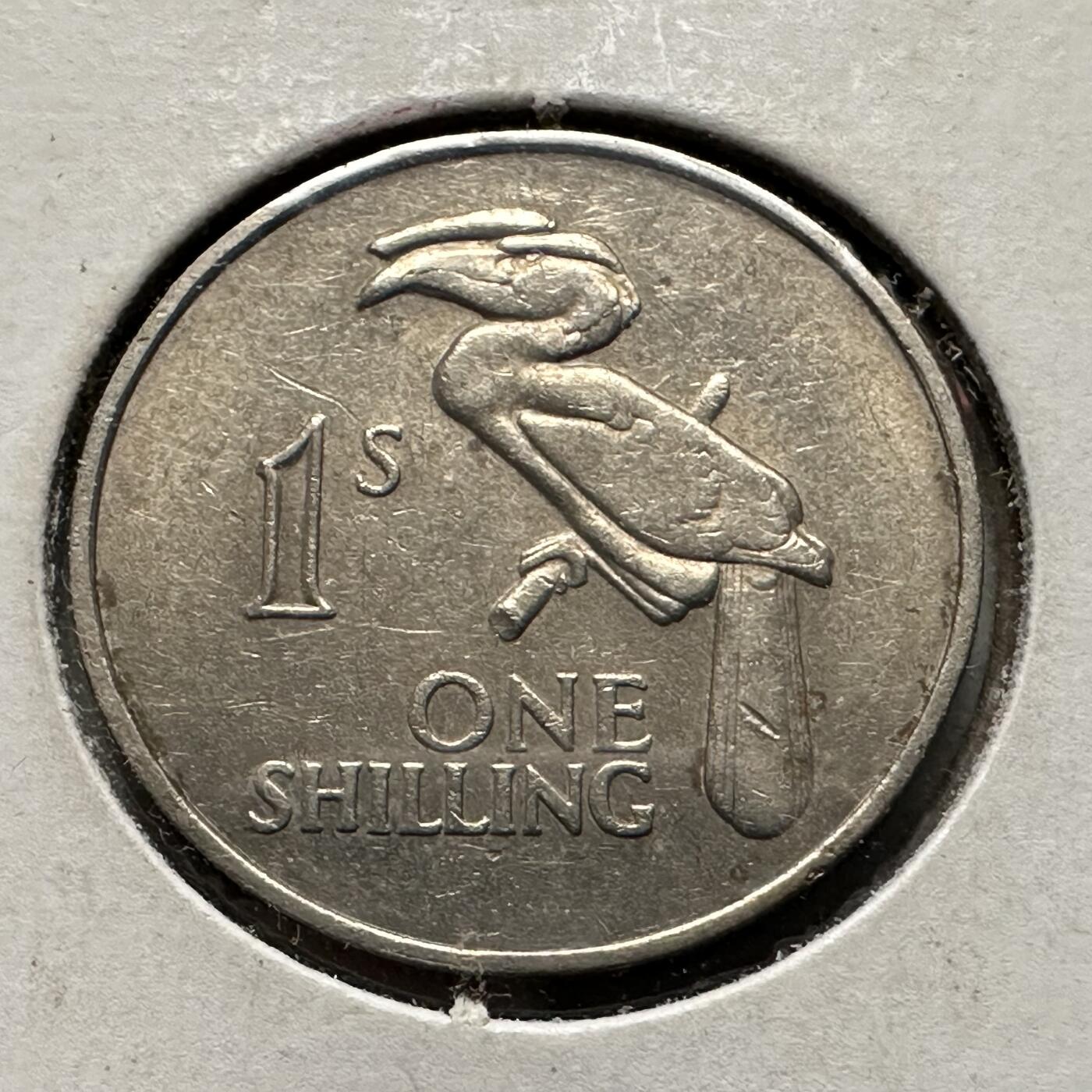 🌹外币初藏🌹🐯2026年第32场   每周二四六晚8️⃣点 接代拍