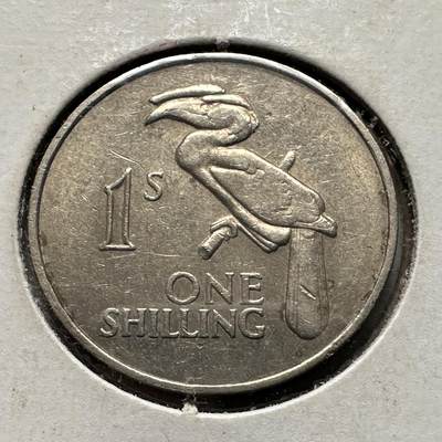 🌹外币初藏🌹🐯2026年第32场   每周二四六晚8️⃣点 接代拍 - 赞比亚1964年一先令