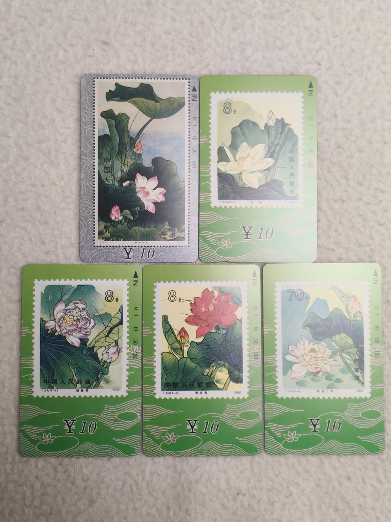 易卡拍卖第84期 甘肃：荷花。（精品地方卡系列）易卡五星⭐️标。如图所示！