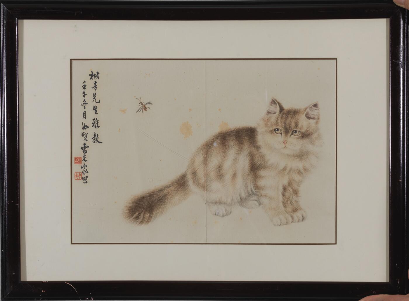 碧月说宝·同一藏家珍藏书画专场 曹克家 猫