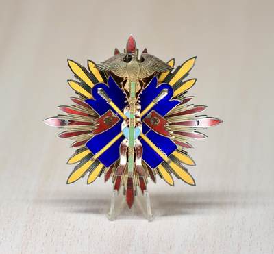 大猫徽章拍卖 第290期 - 勿忘国耻 功二金鸟