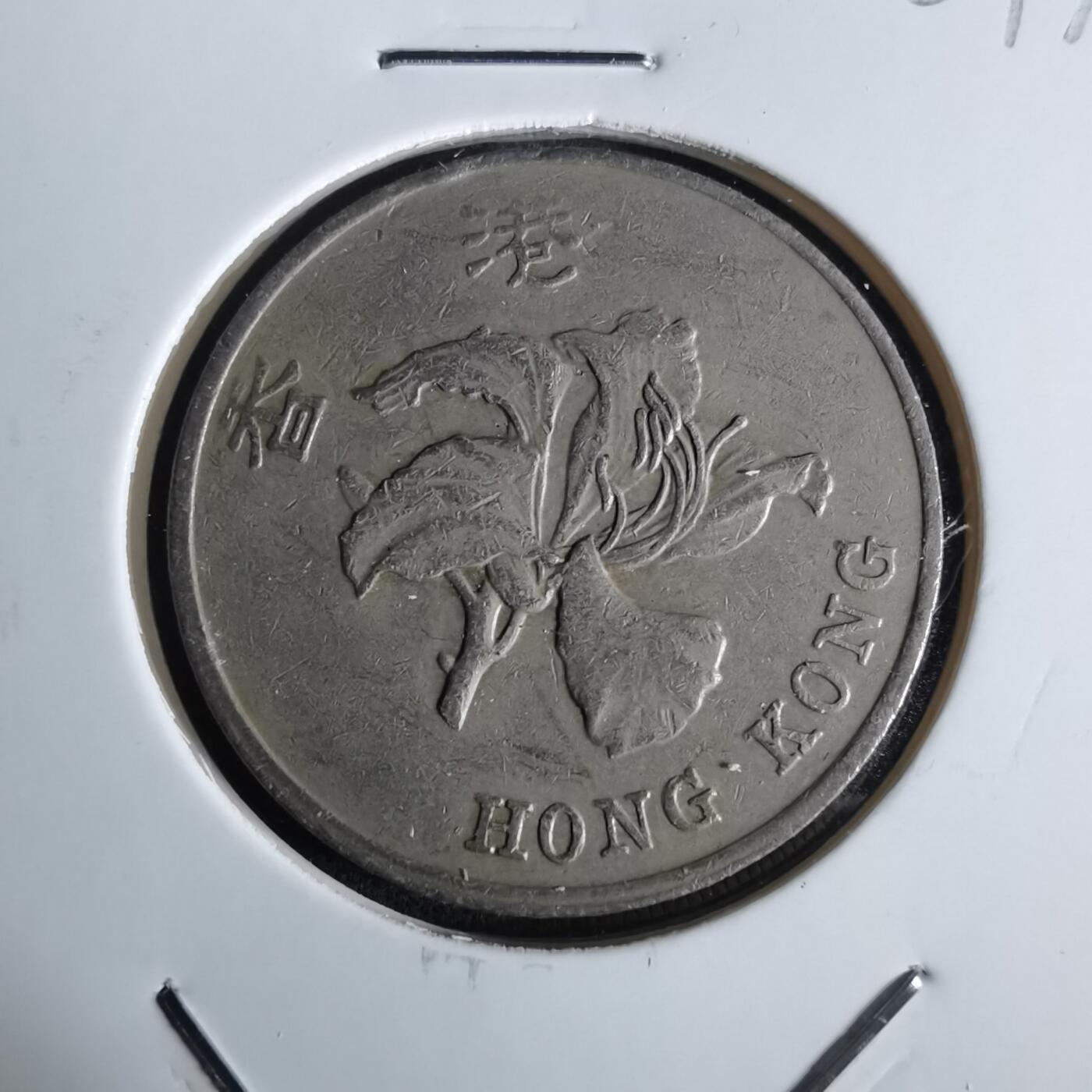 沼泽如烟--第1027场