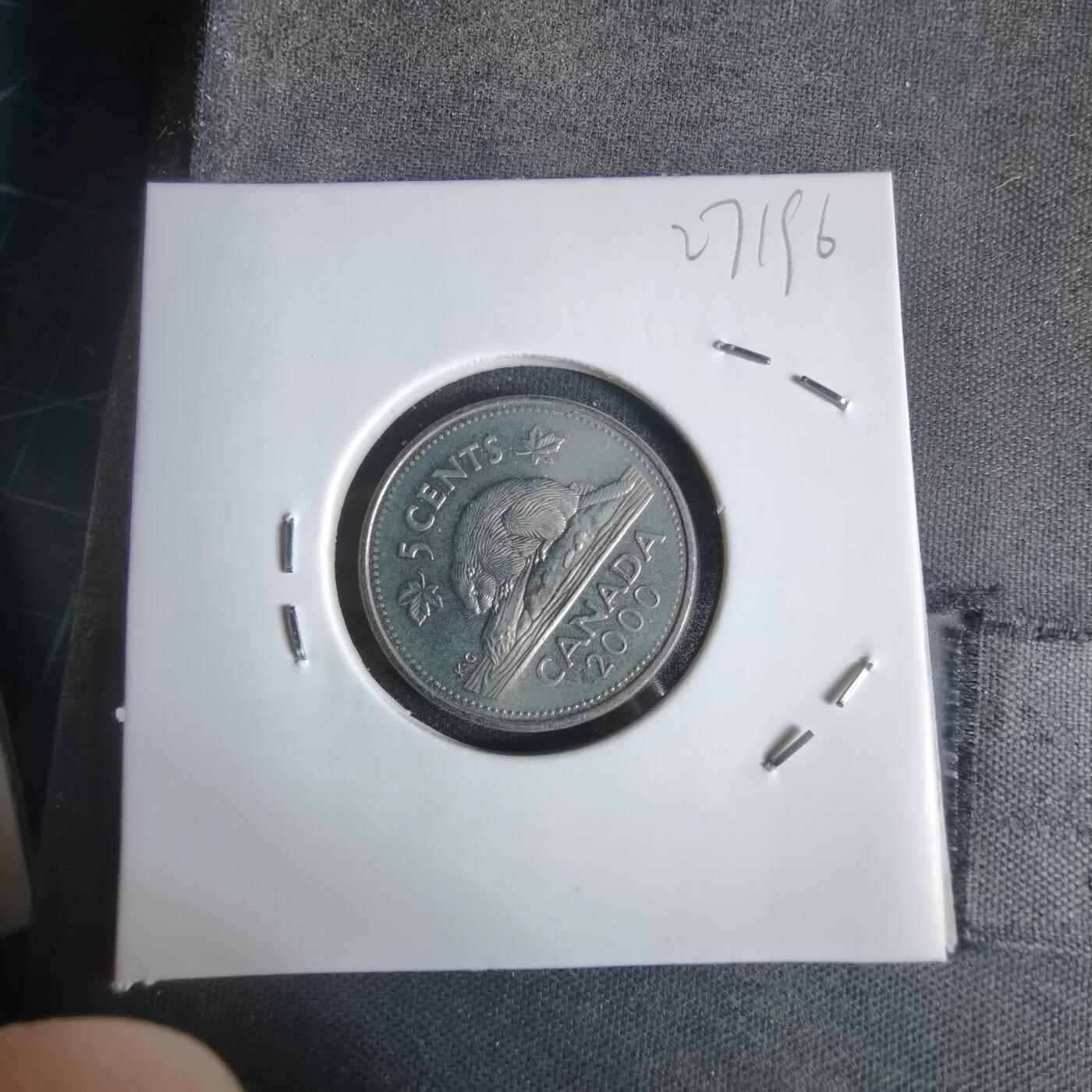 沼泽如烟--第1027场