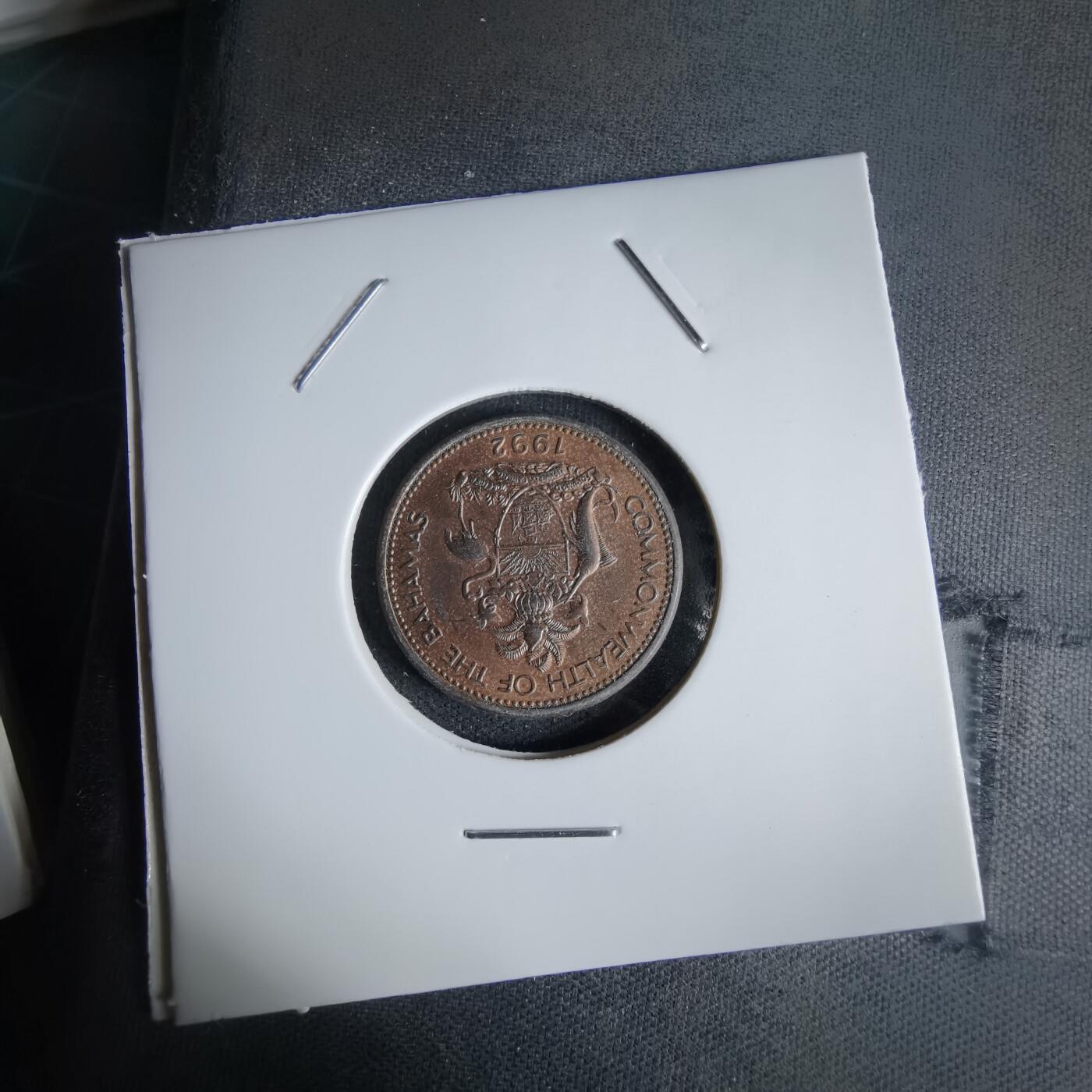 沼泽如烟--第1027场