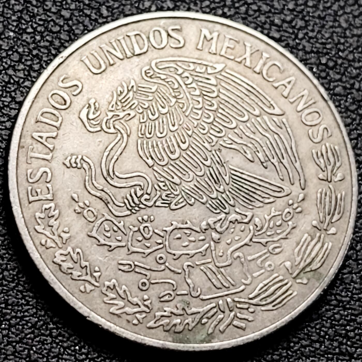 泉币菌-第214场-拍品多 请提前出价（工作最近较忙 发货不及时，望理解） 。