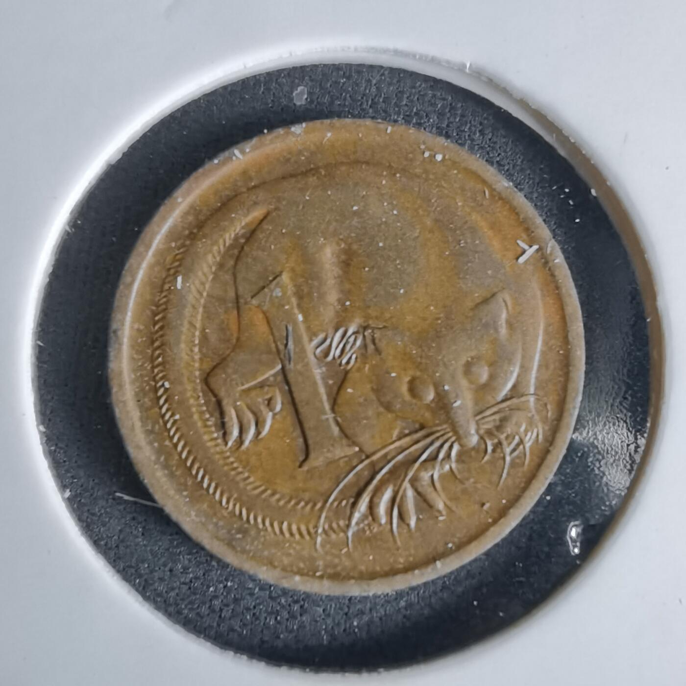 沼泽如烟--第1027场