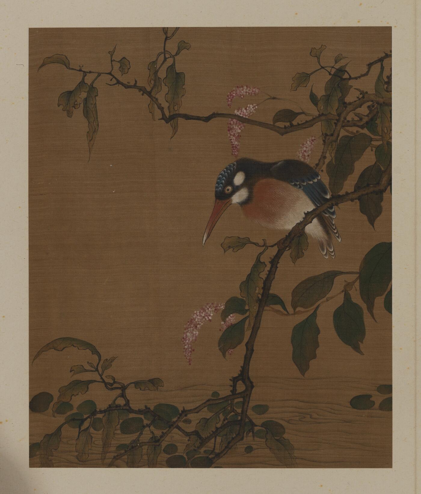 近现代书画专场（五） 佚名 花鸟册