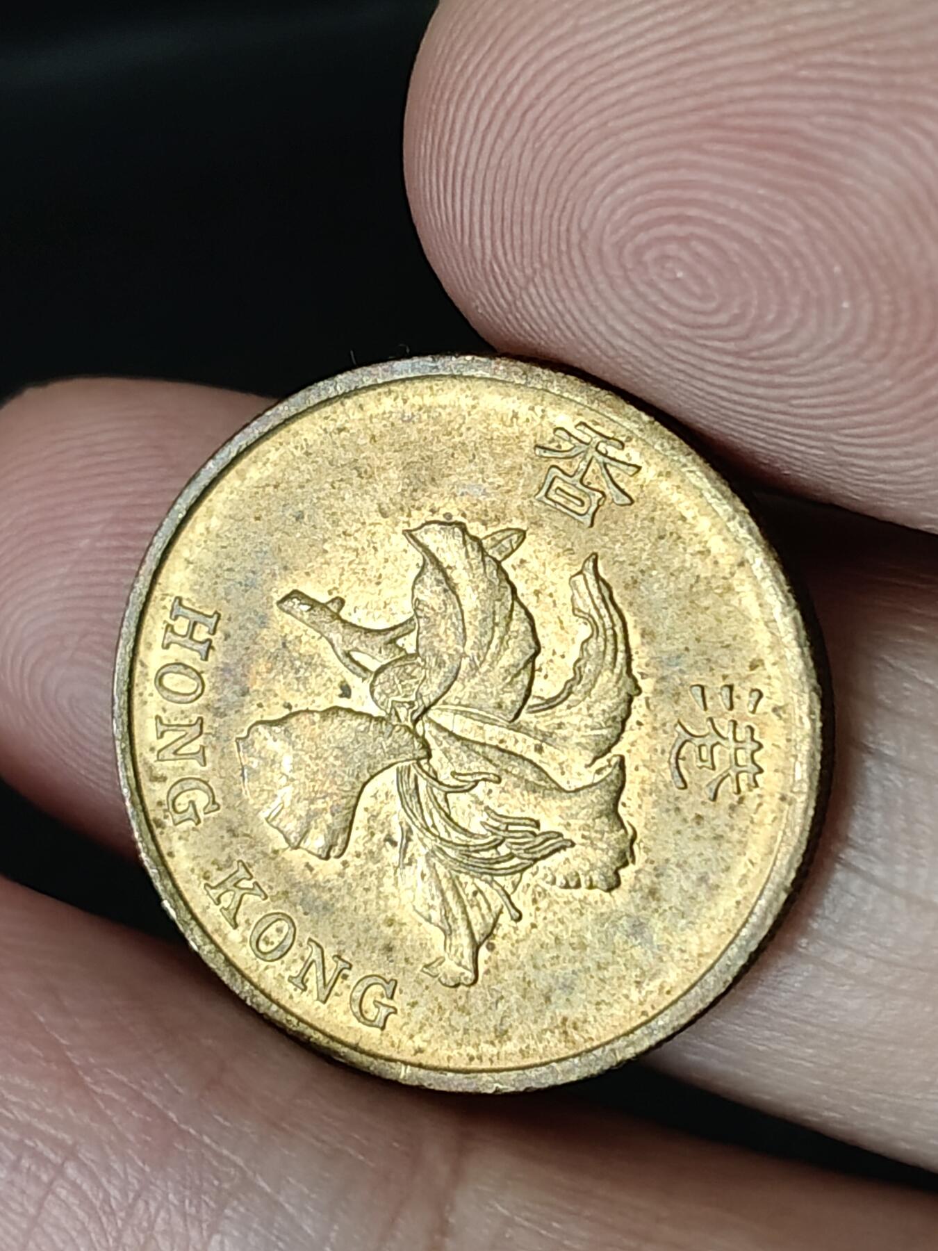 猩哥外币小铺➨【第223场】 伍毫