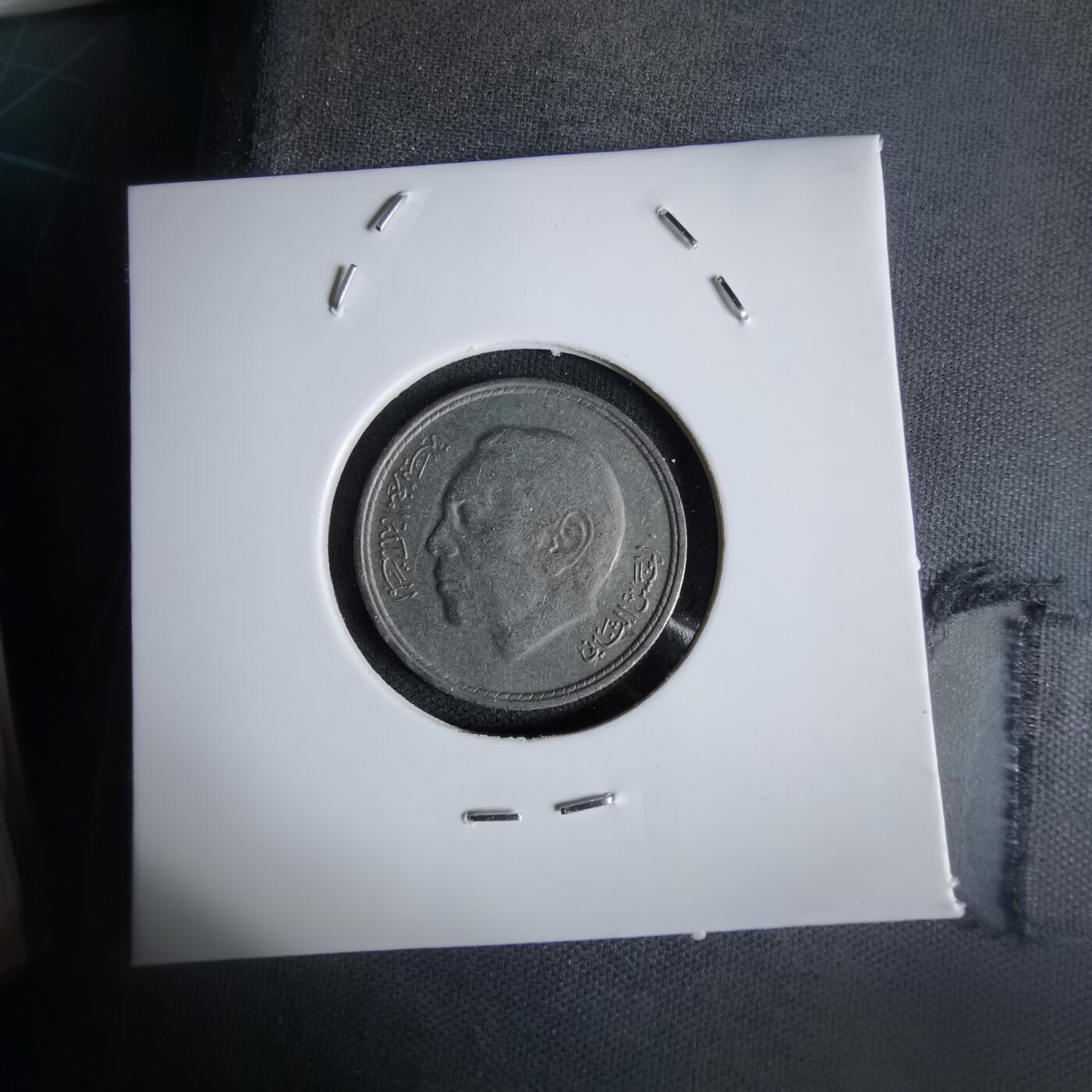 沼泽如烟--第1027场