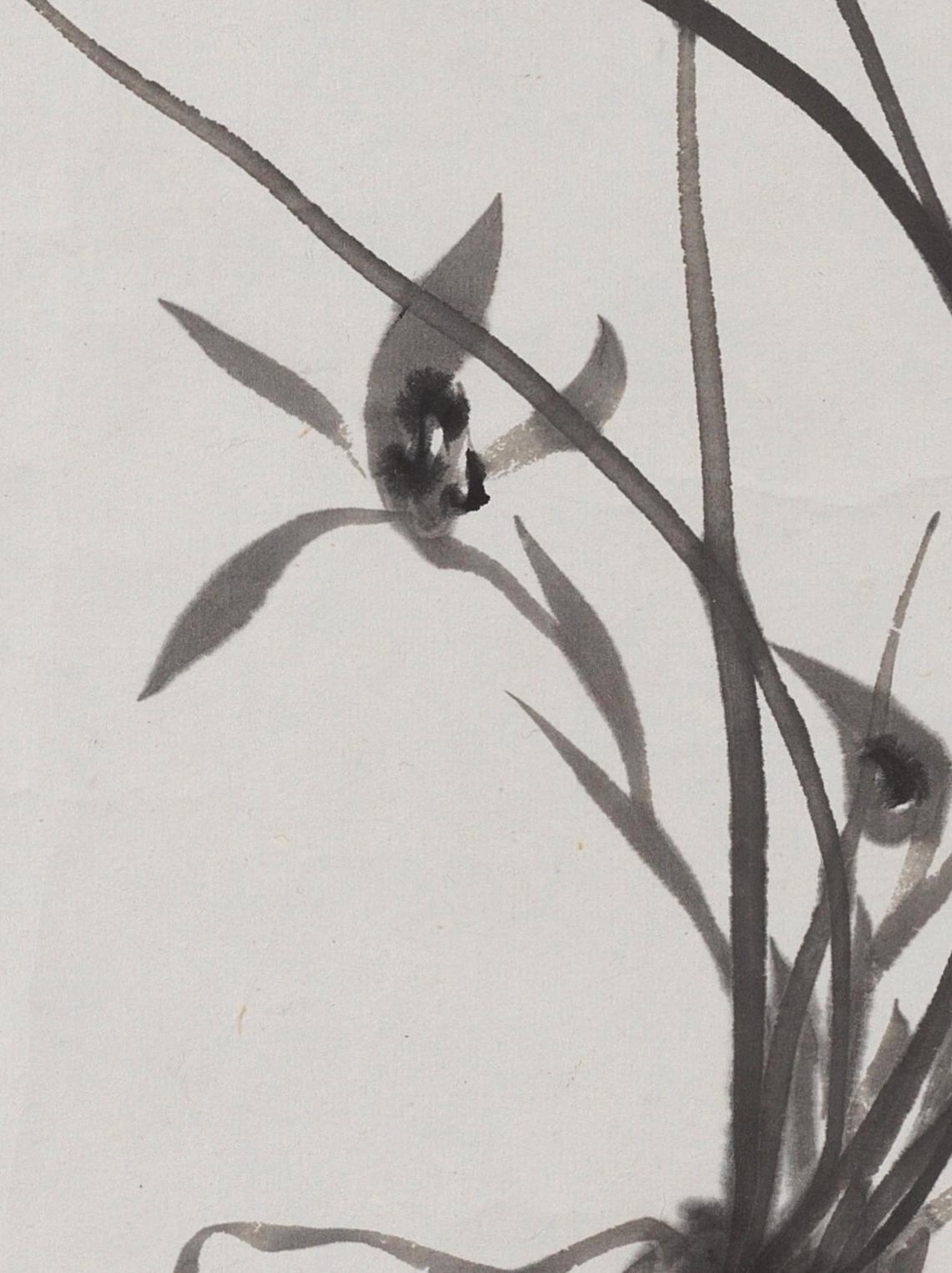 碧月说宝·同一藏家珍藏书画专场 若瓢 兰花