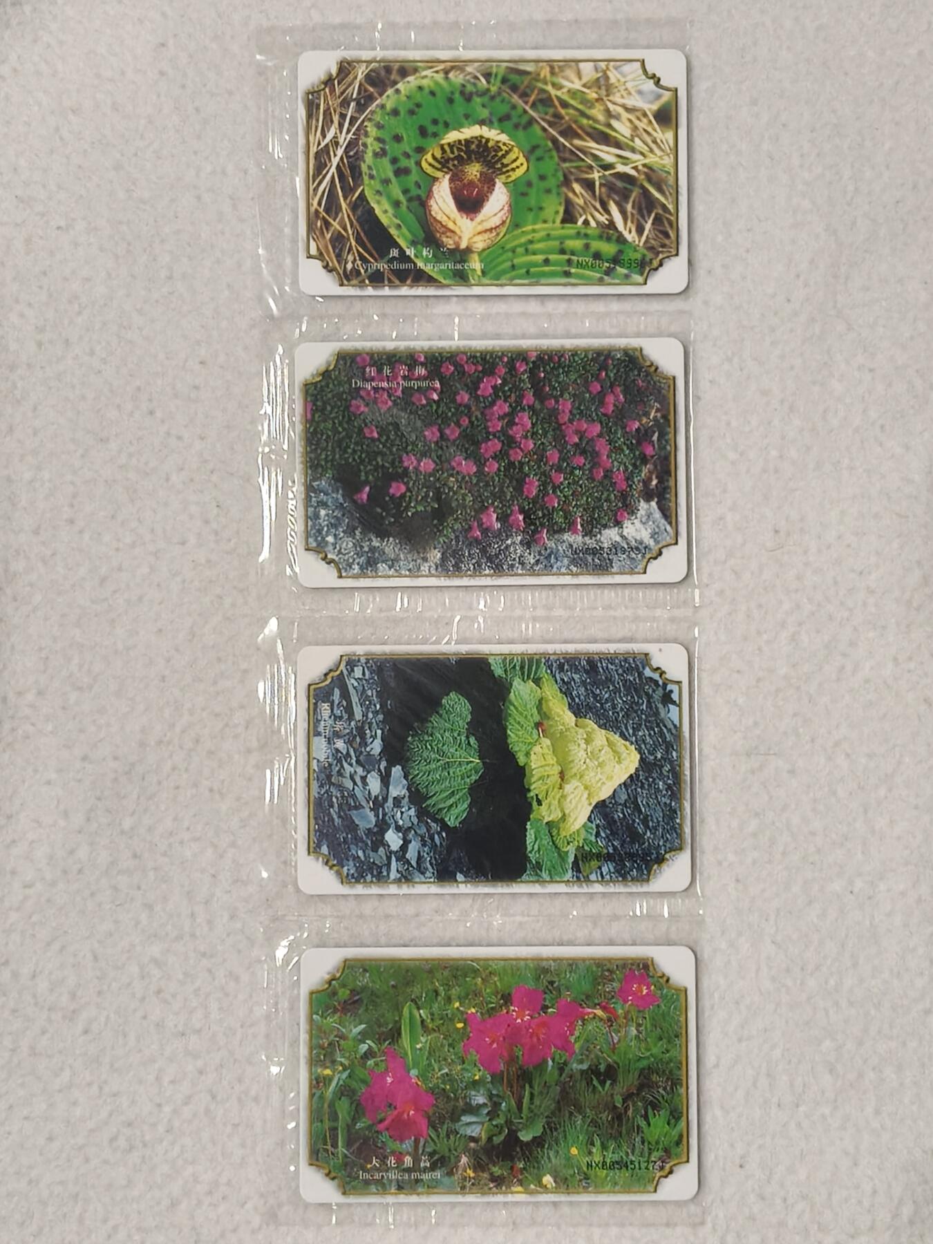 易卡拍卖第84期