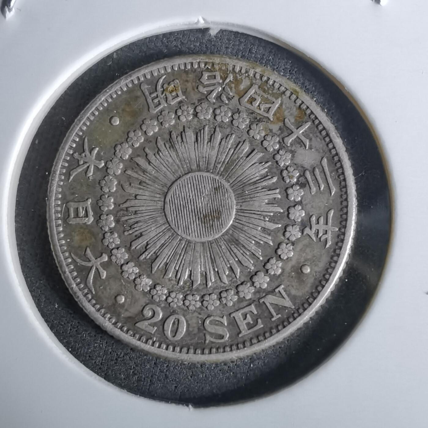 沼泽如烟--第1027场