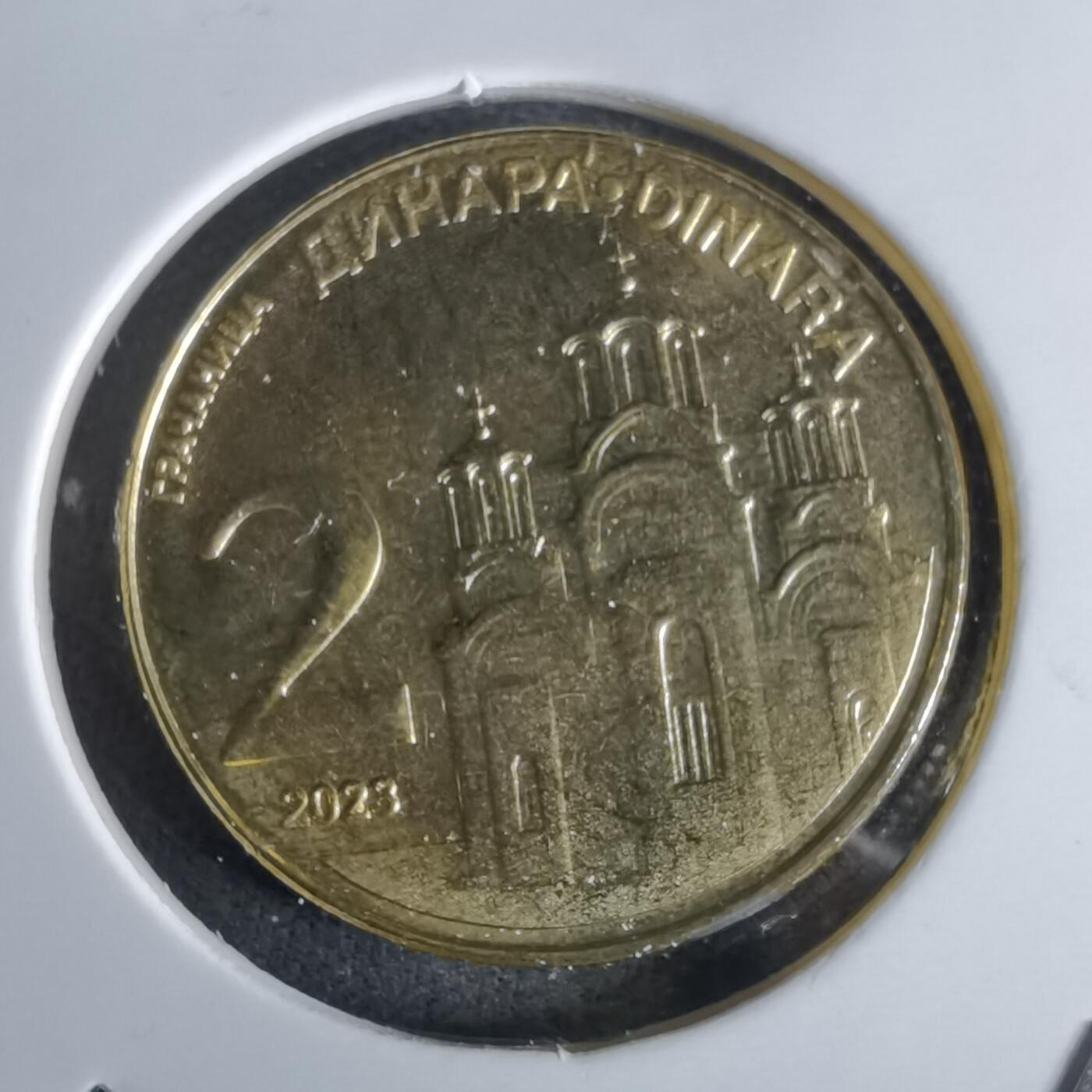 沼泽如烟--第1027场