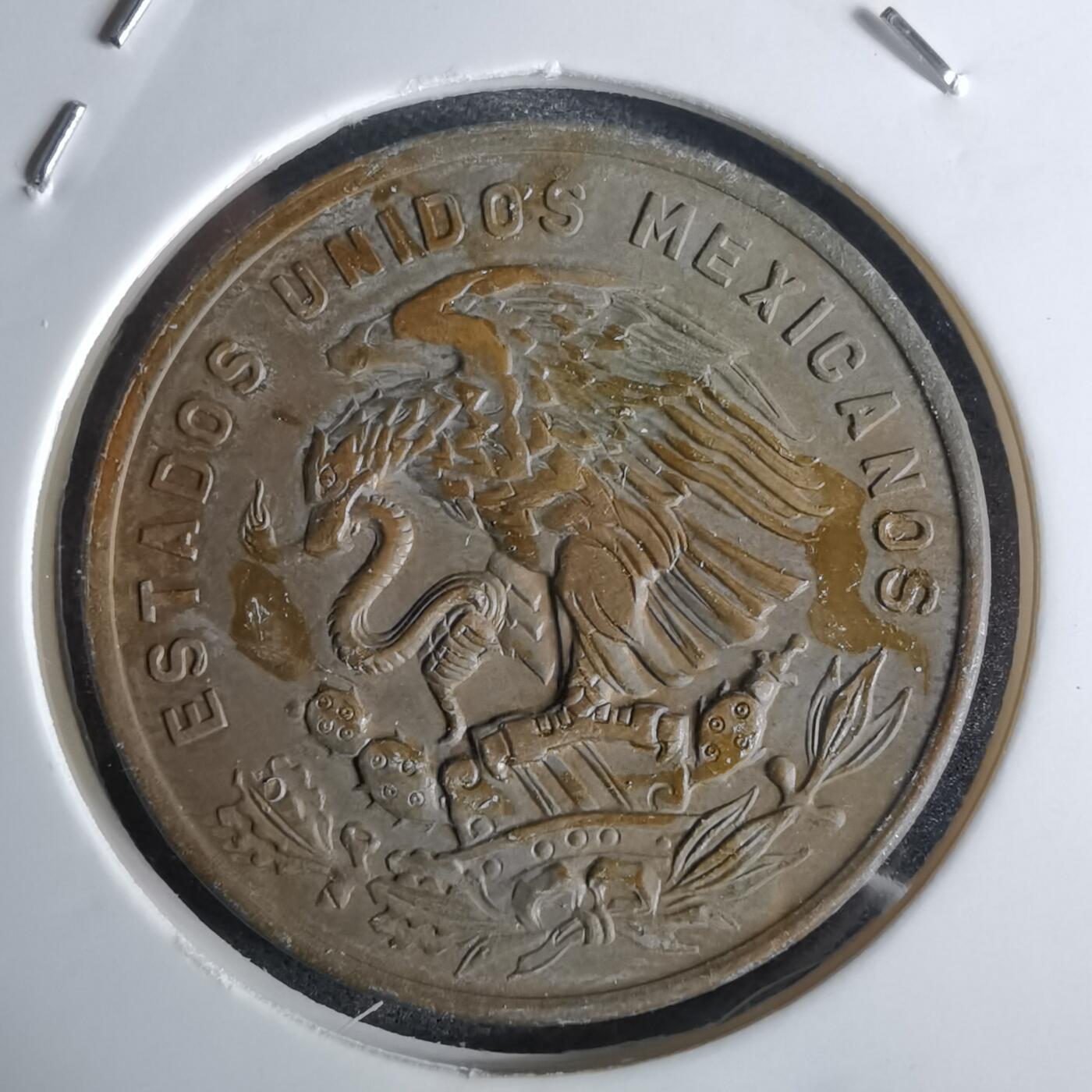 沼泽如烟--第1027场