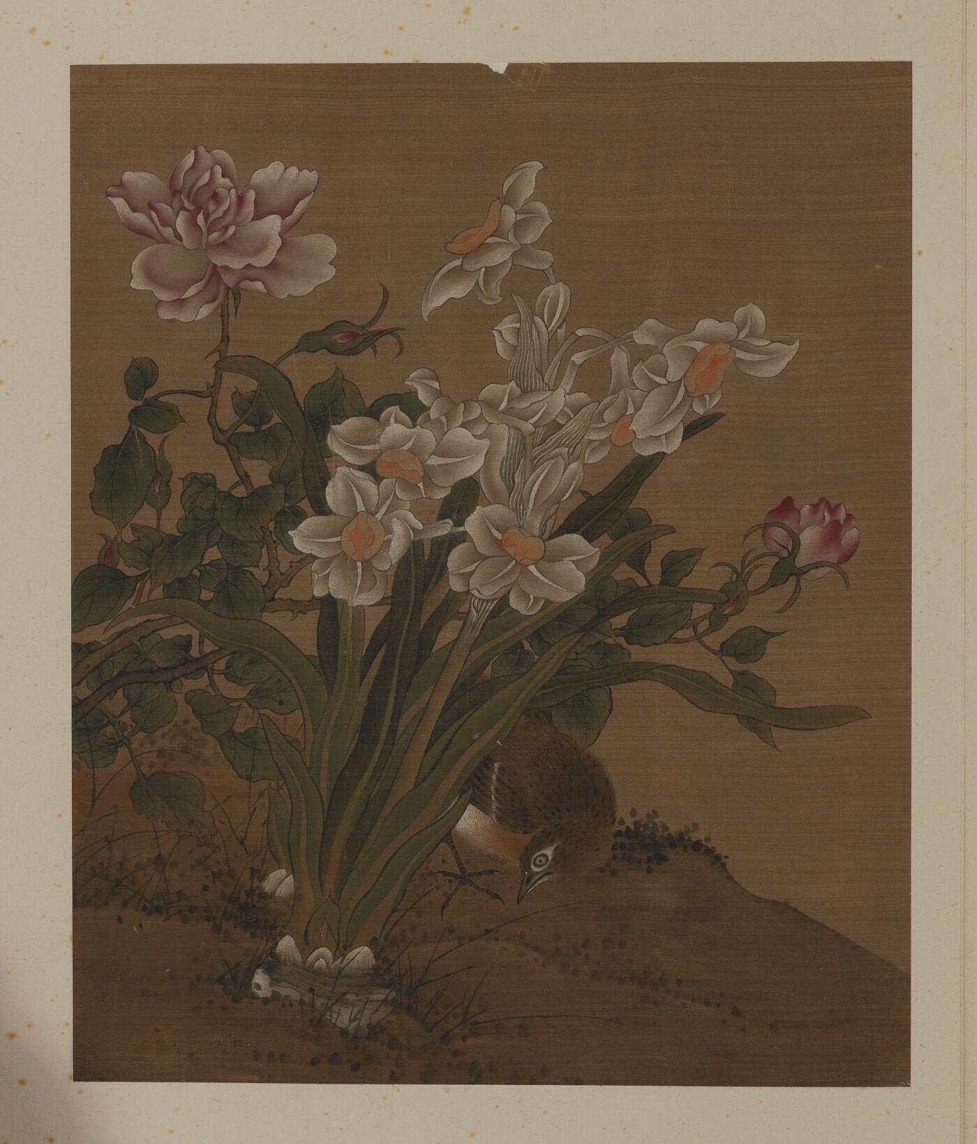 近现代书画专场（五） 佚名 花鸟册